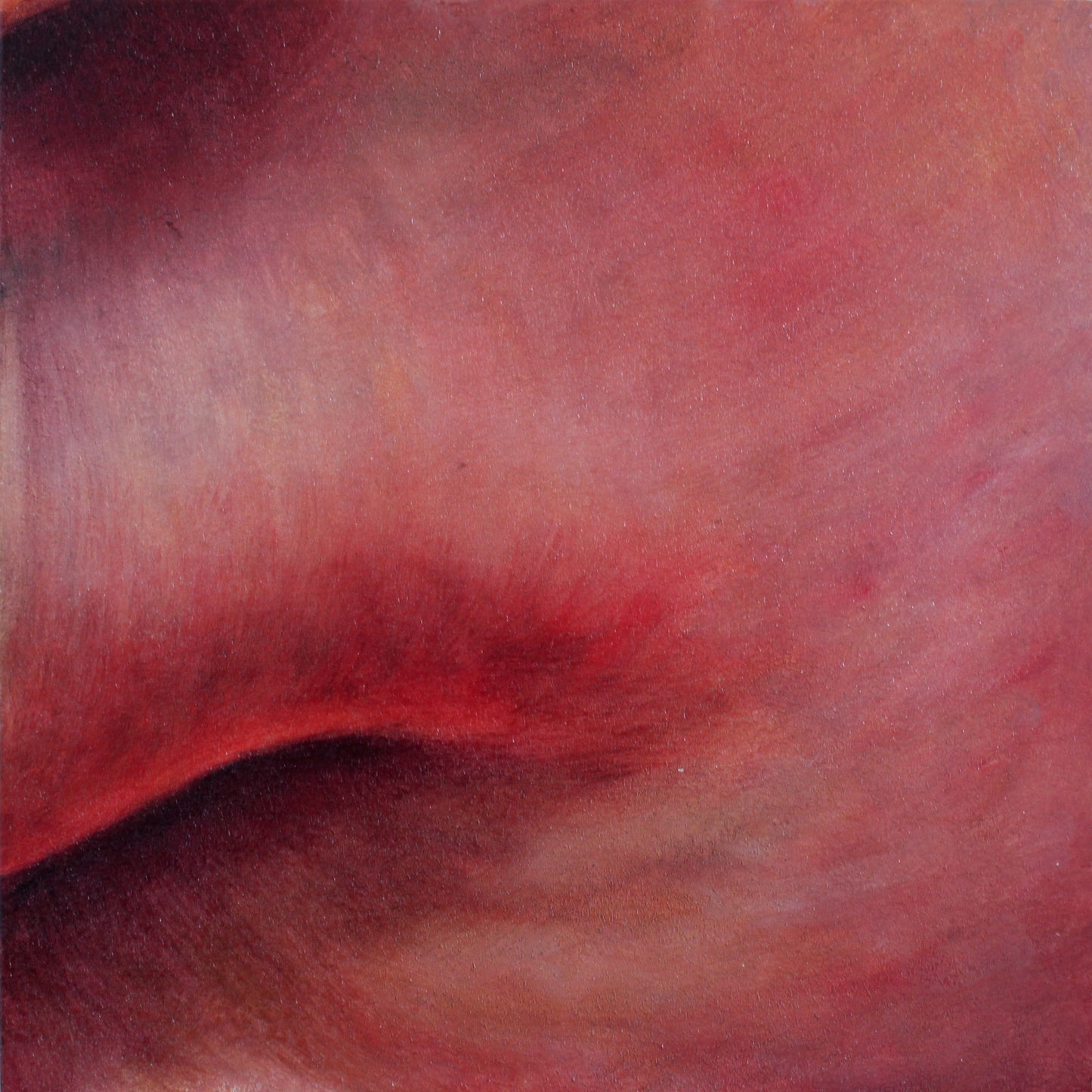 Giclee Fine Art Prints by Sophia Hanna