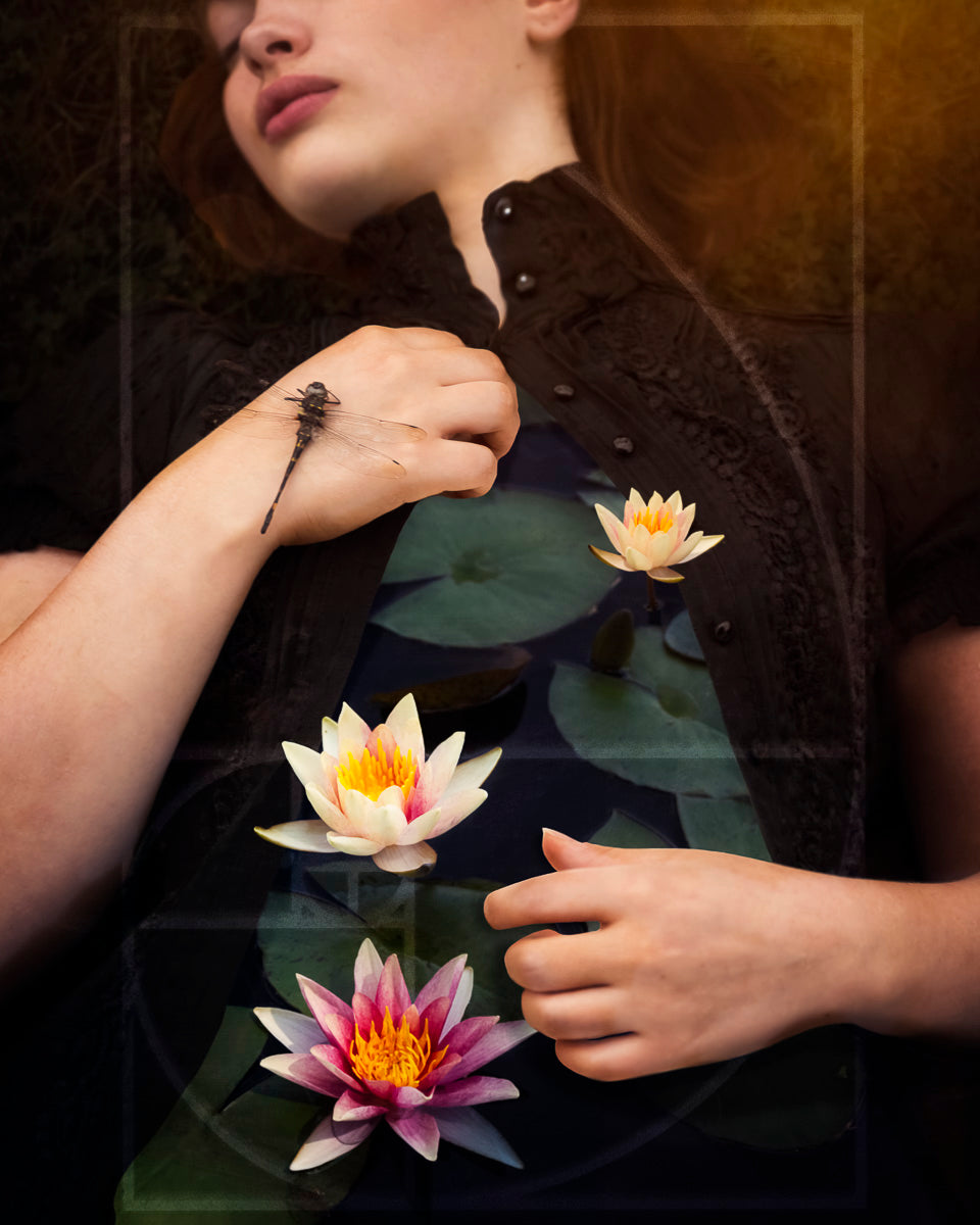 Giclee prints by Marisa S White