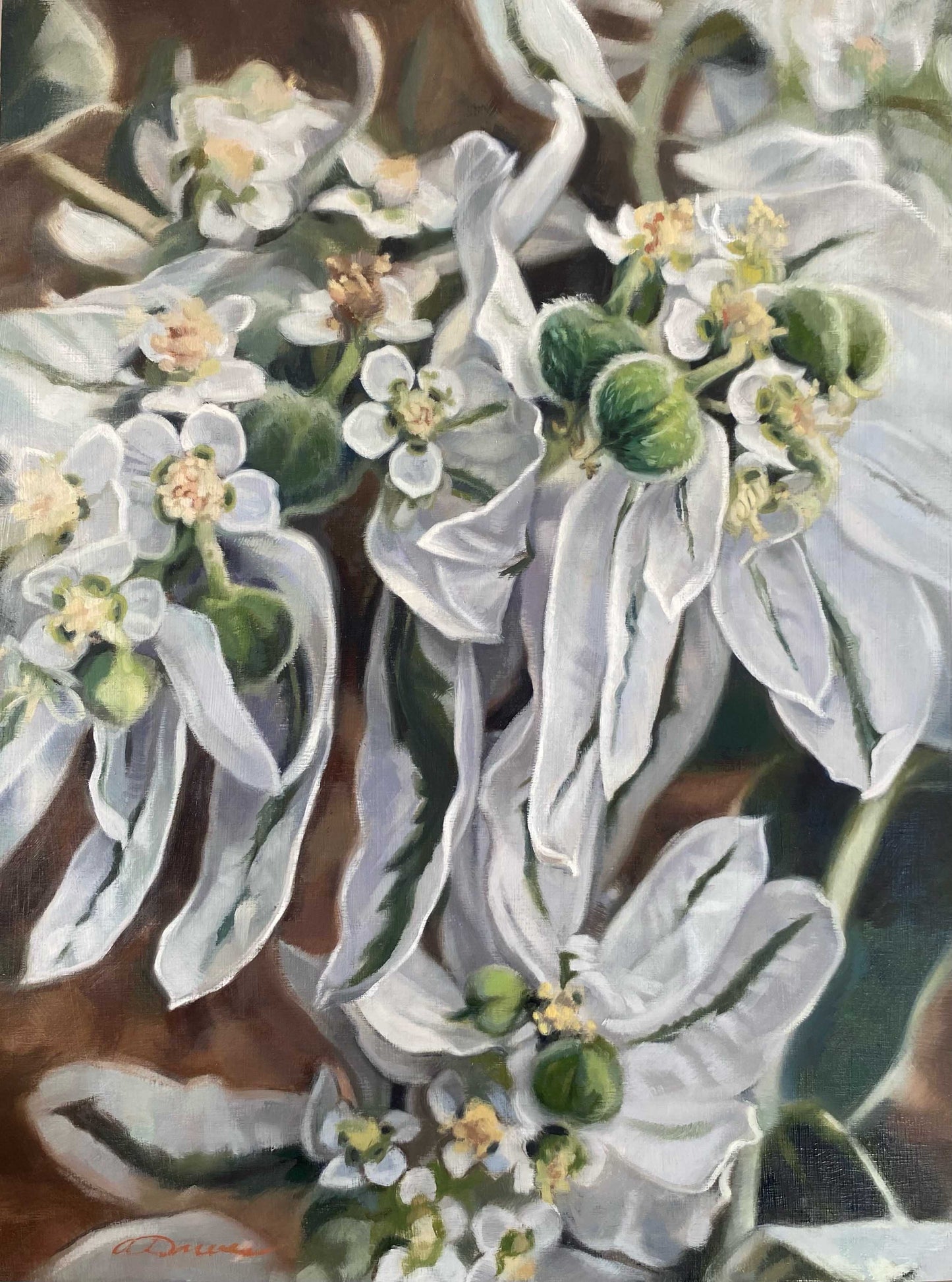 Snow on the Mountain