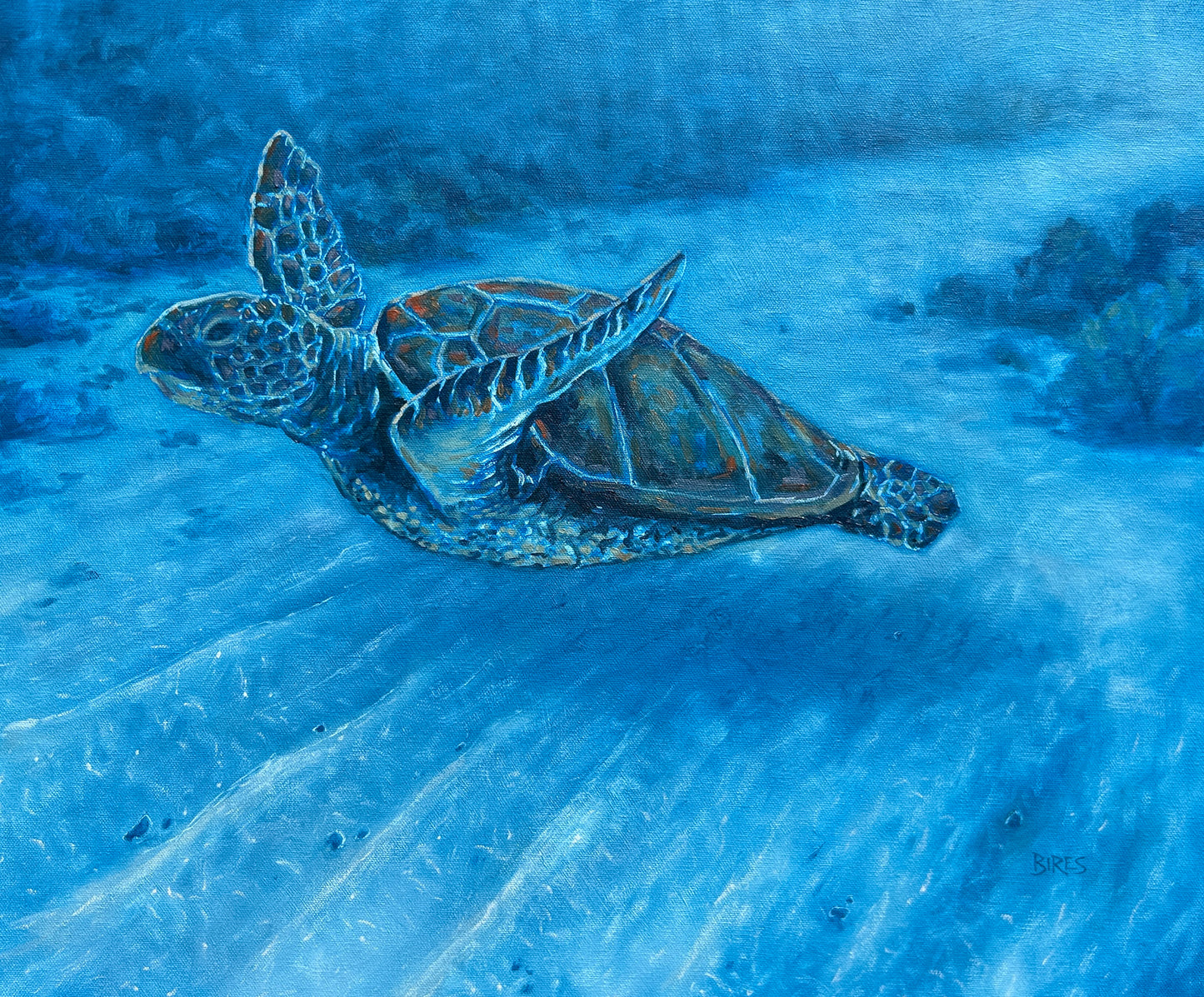 Life Underwater