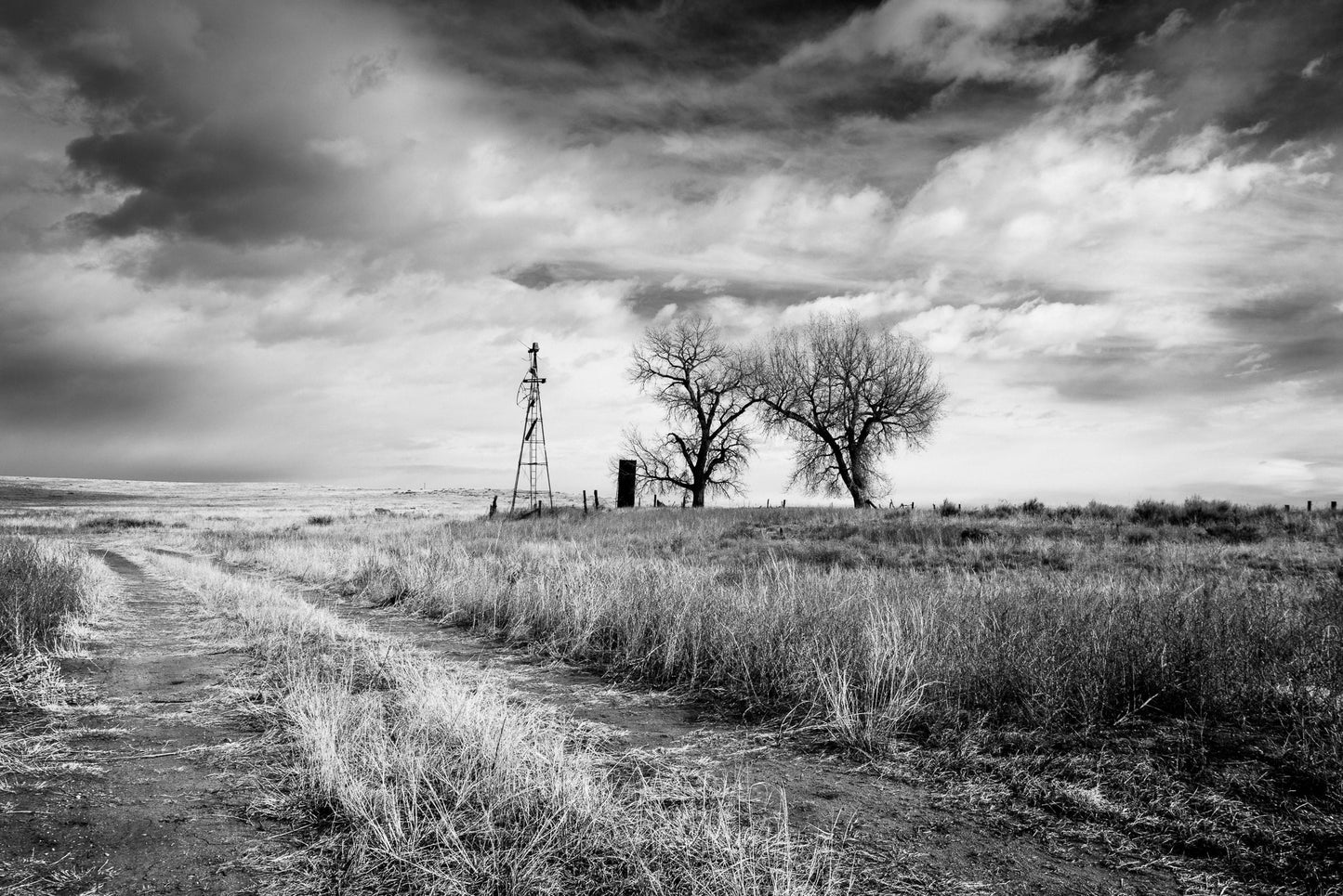 Bluestem Prairie