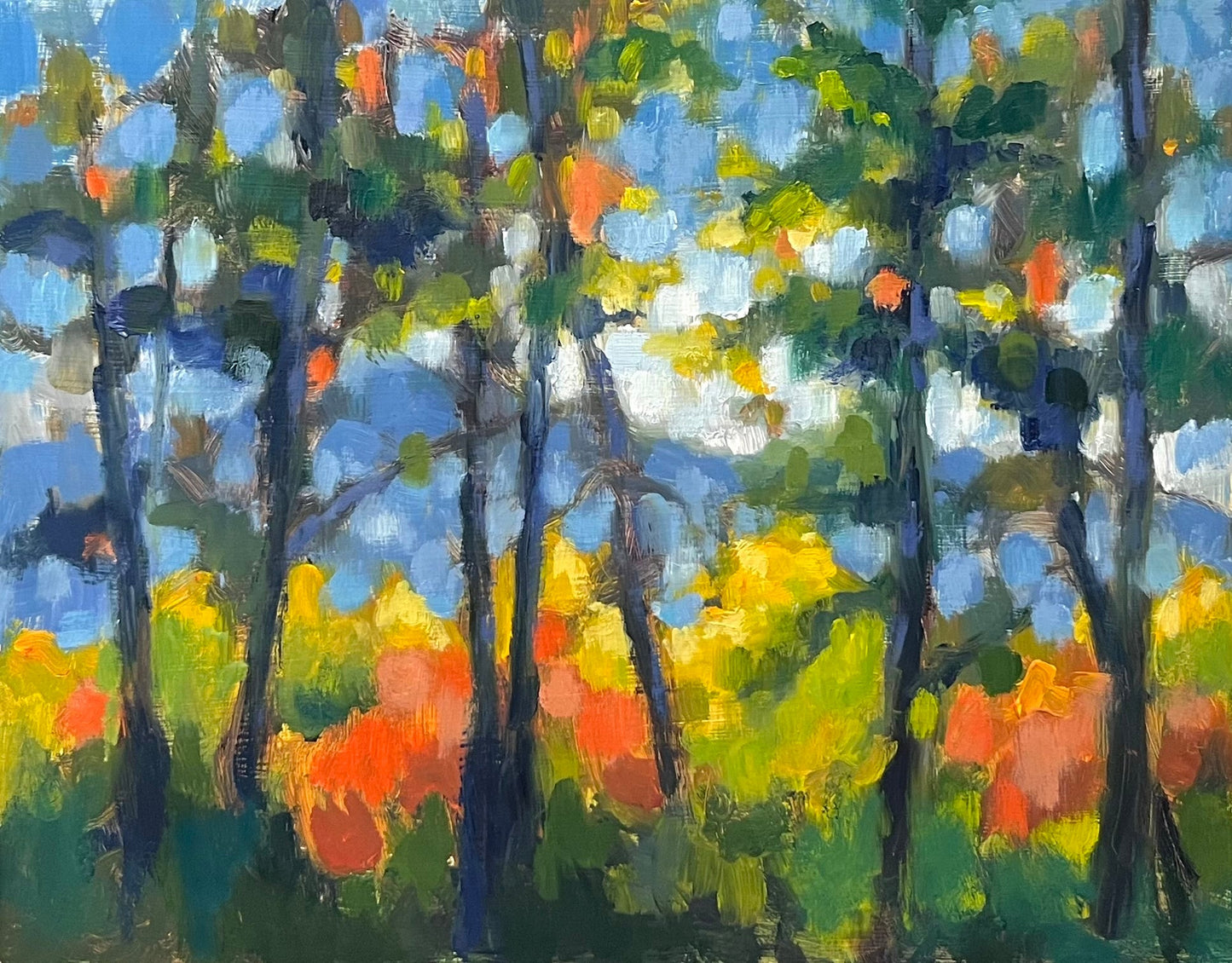 Cañon Impression