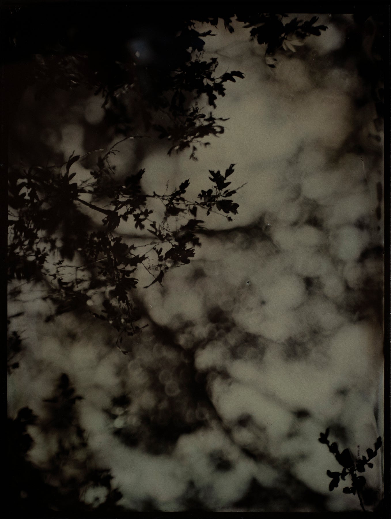 Clouded Thoughts