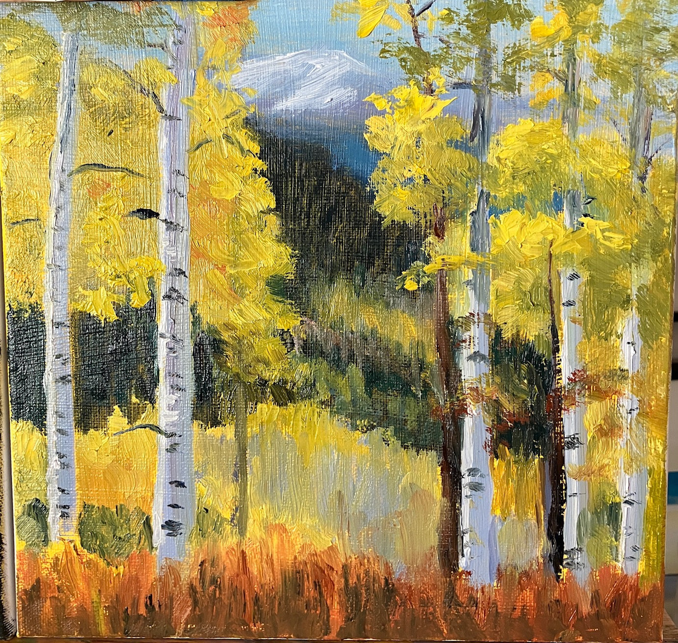 Colorado Splendor