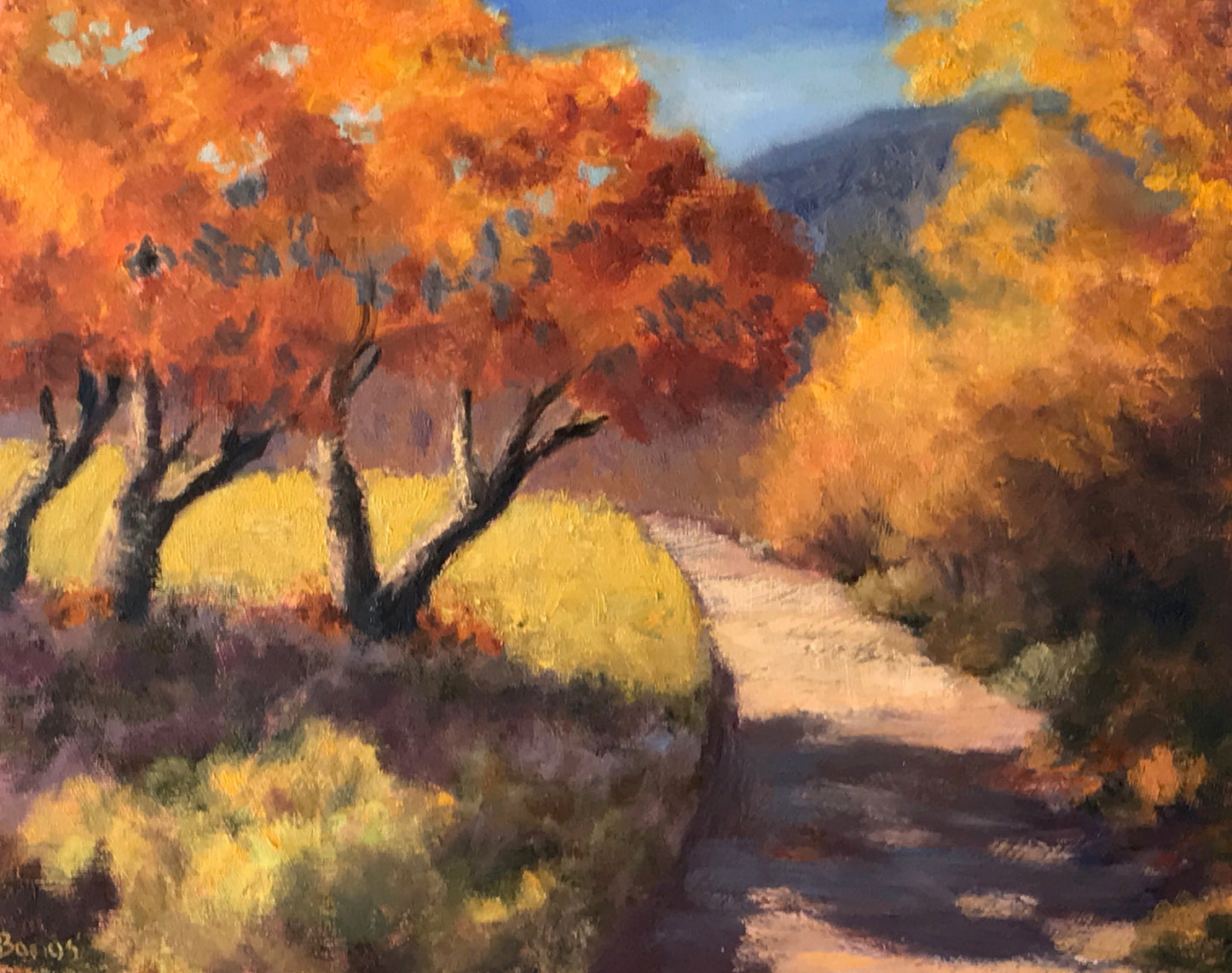 Bear Creek Autumn Trail