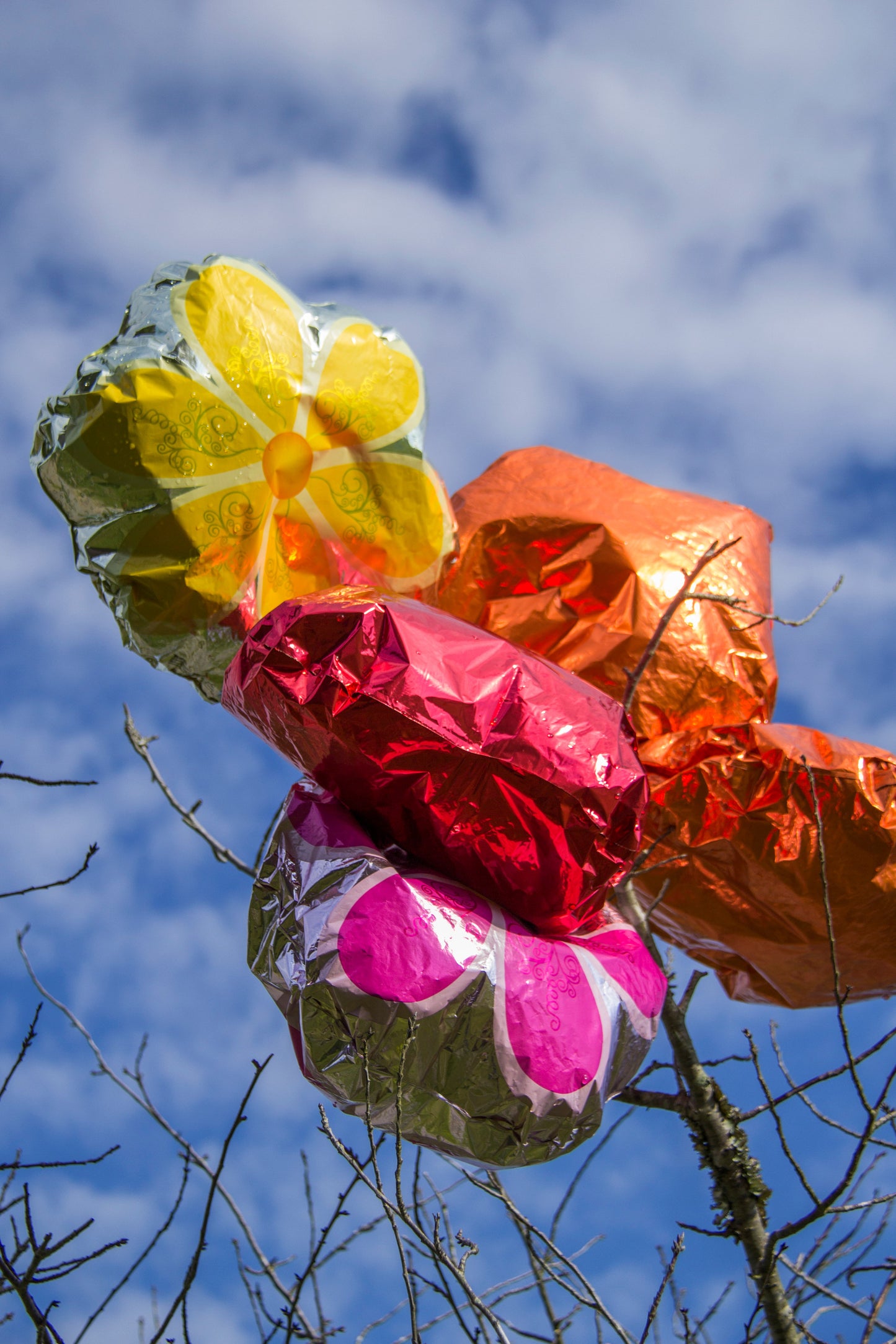 The Persistence of Memory