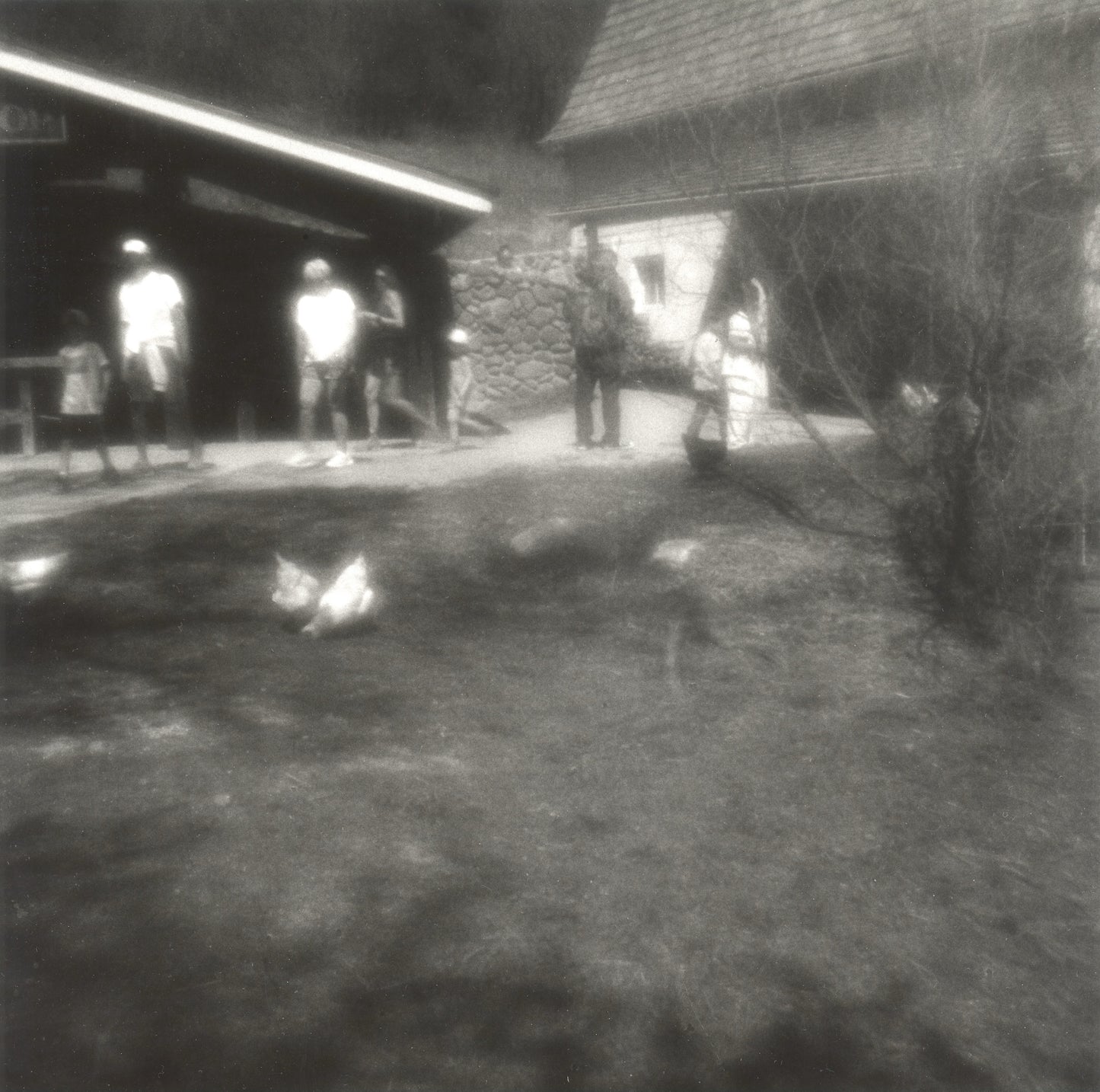 Free Range