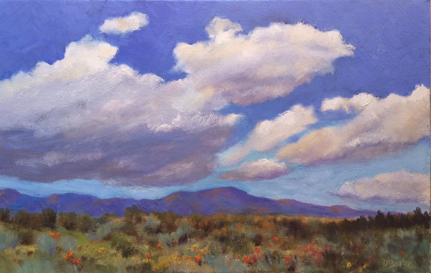 Front Range Summer