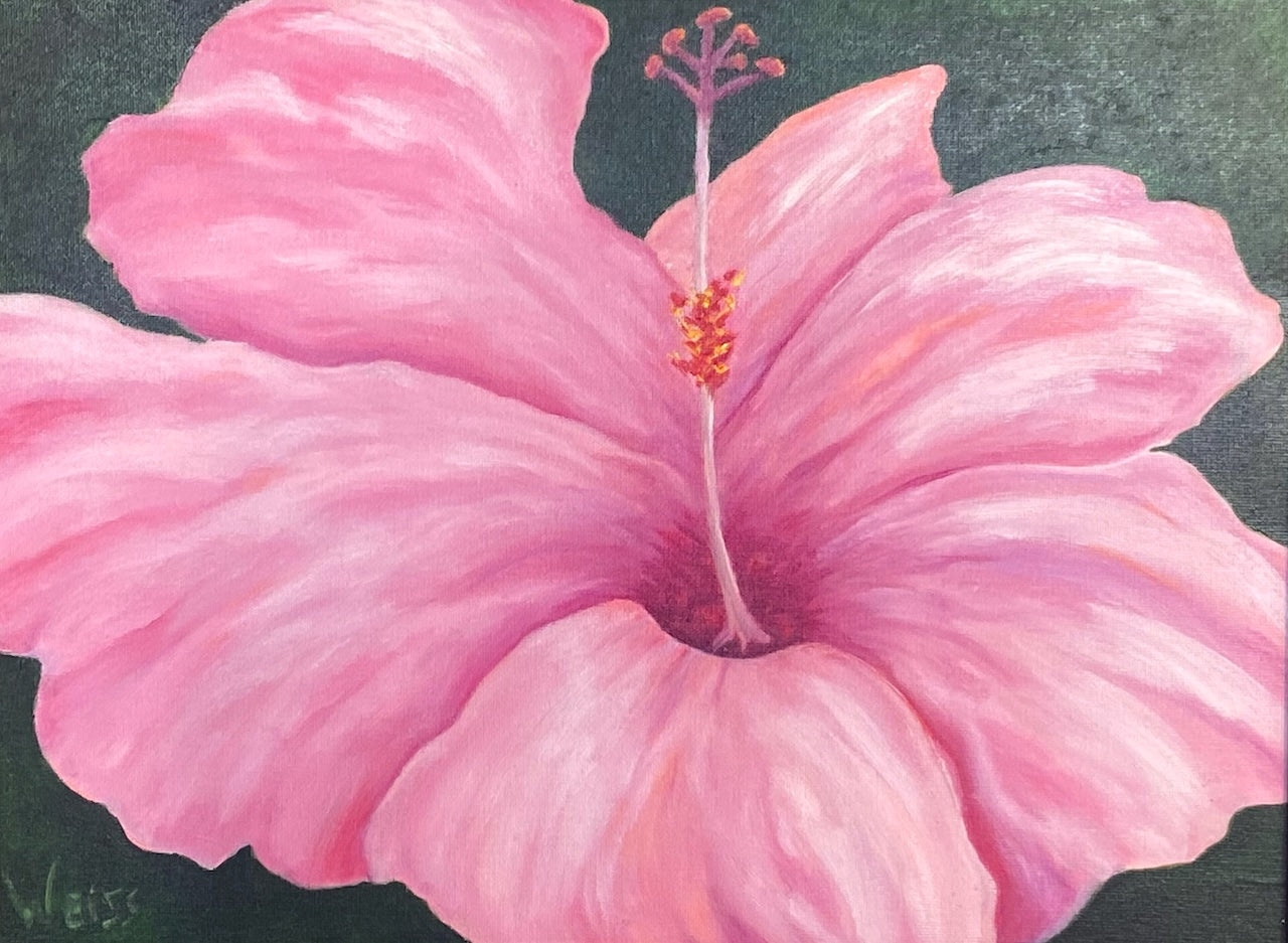 Hibiscus #2
