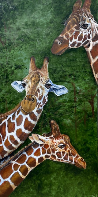 Giraffes