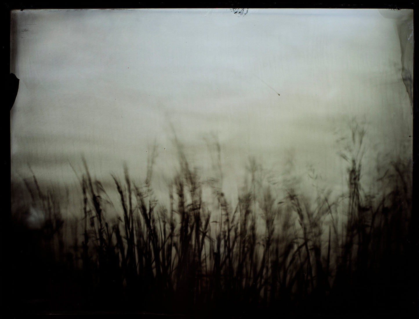 Into the Abyss