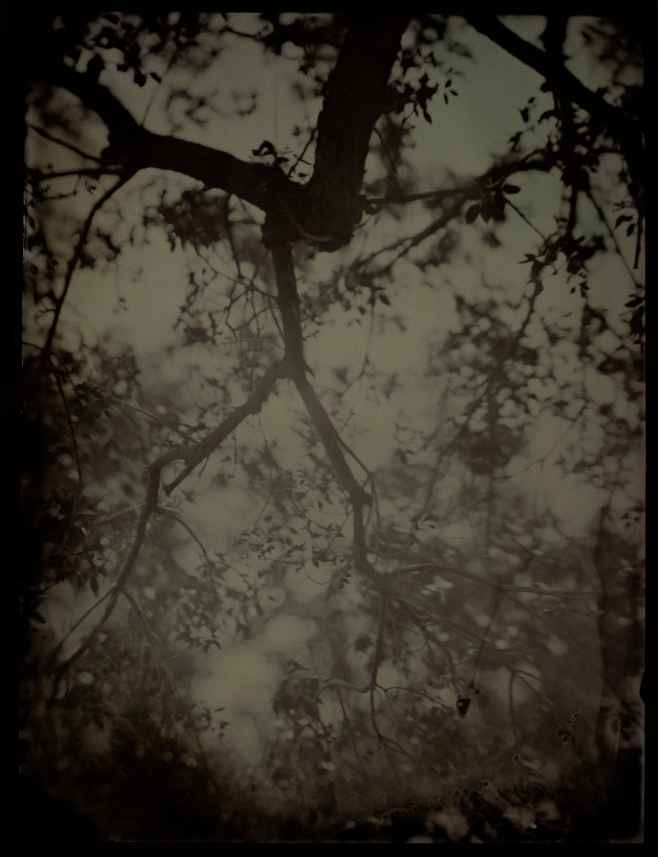 Jagged Memories