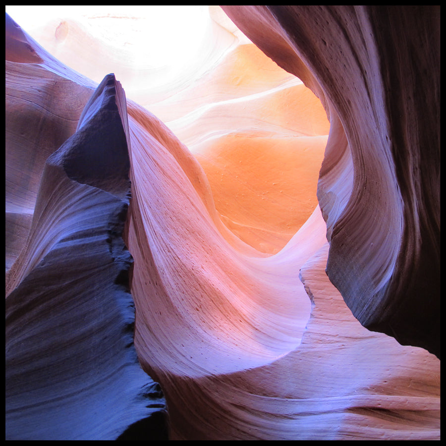 Antelope 5