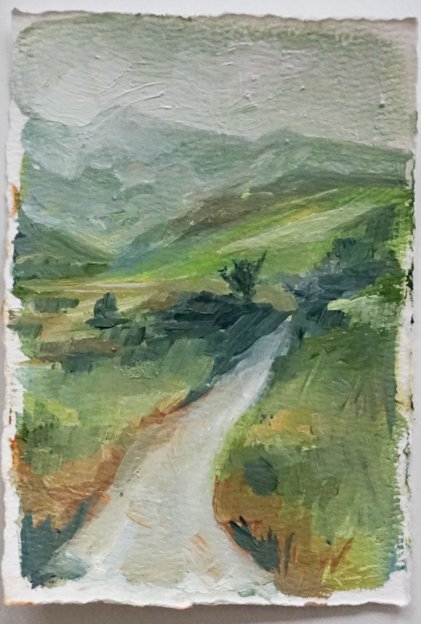 Works on Paper by Kristy Kensinger