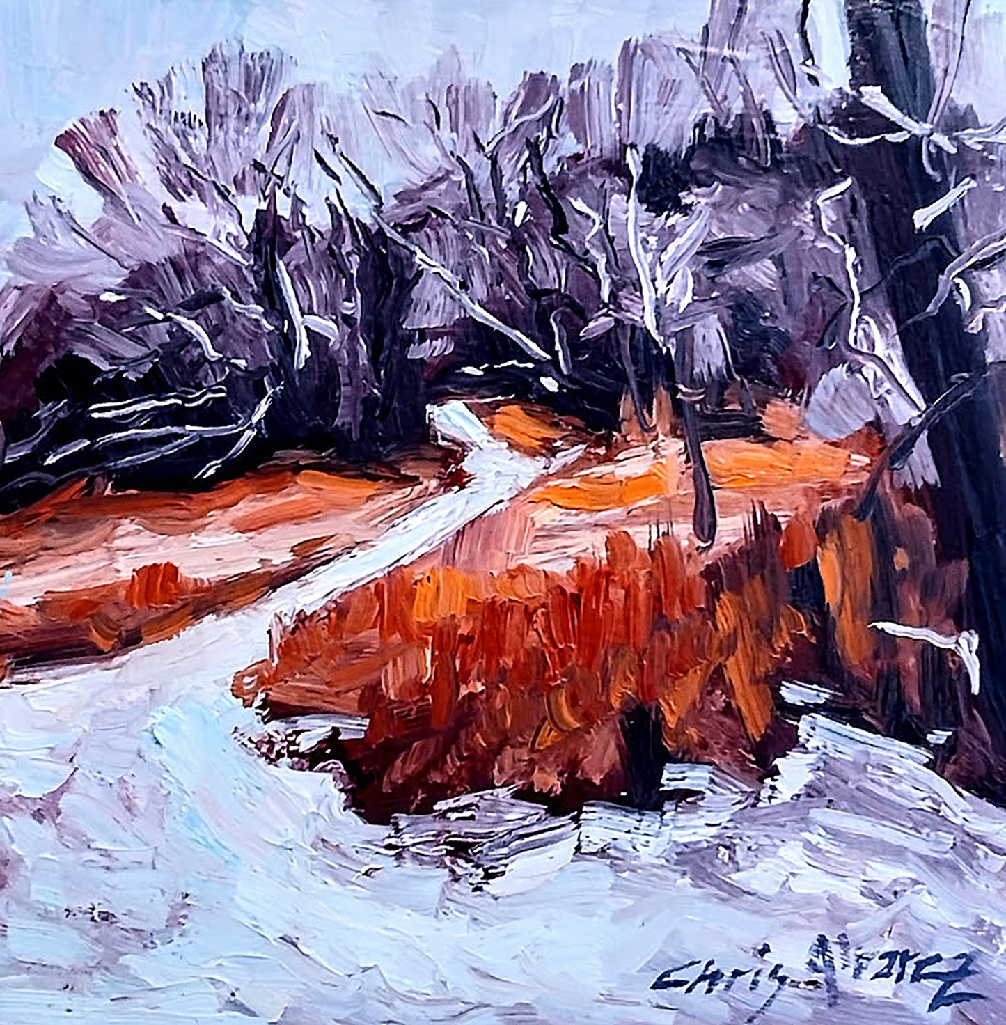 Winter Grass