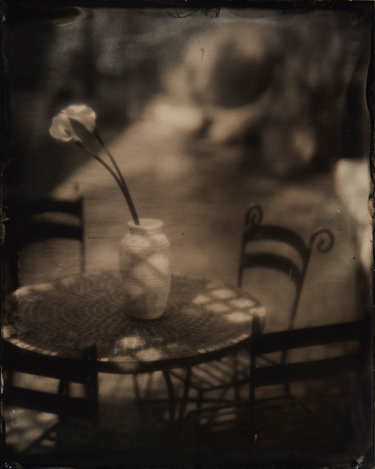 Lilies on the Patio