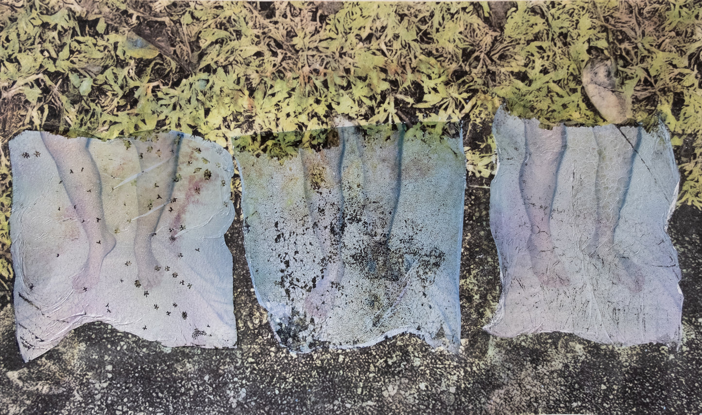 Walk Without Rhythm