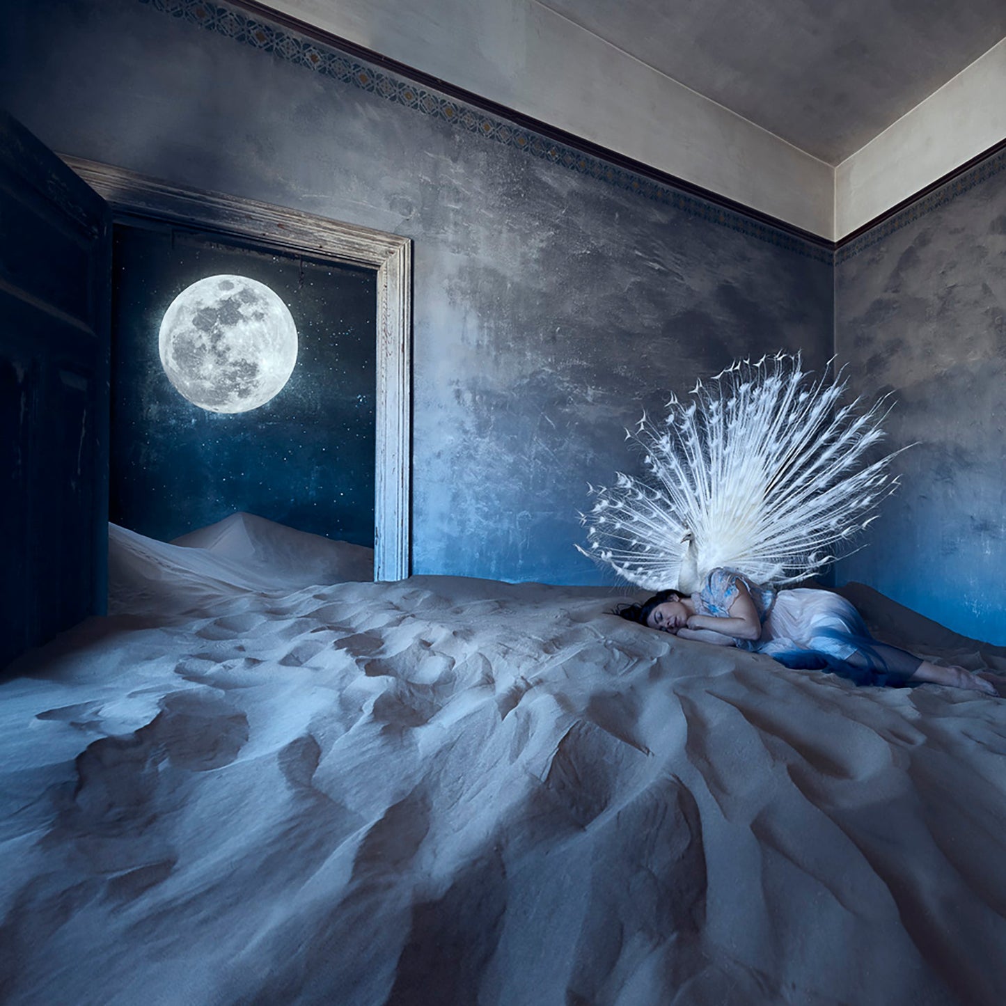 Giclee prints by Marisa S White