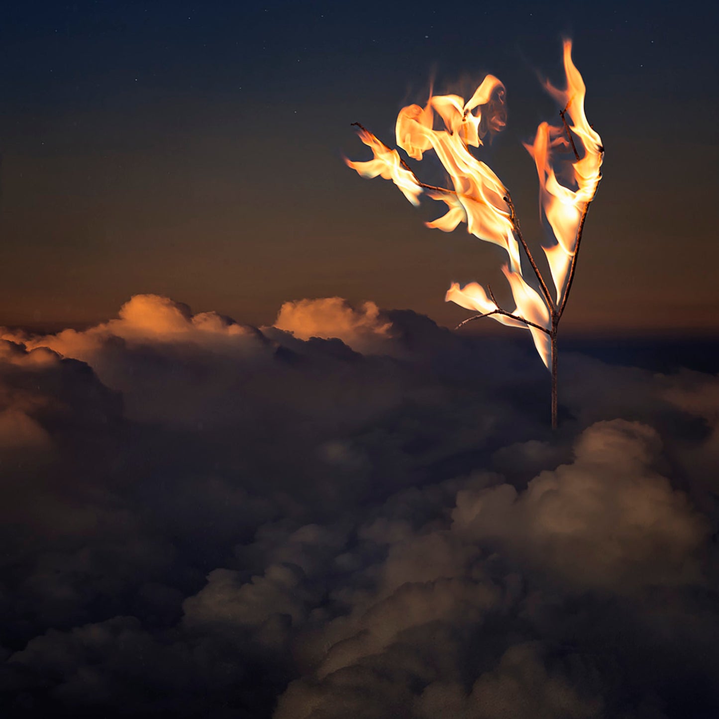 colorado springs art