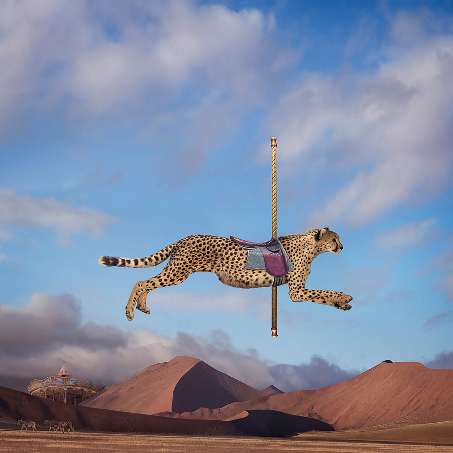 Carousel photography