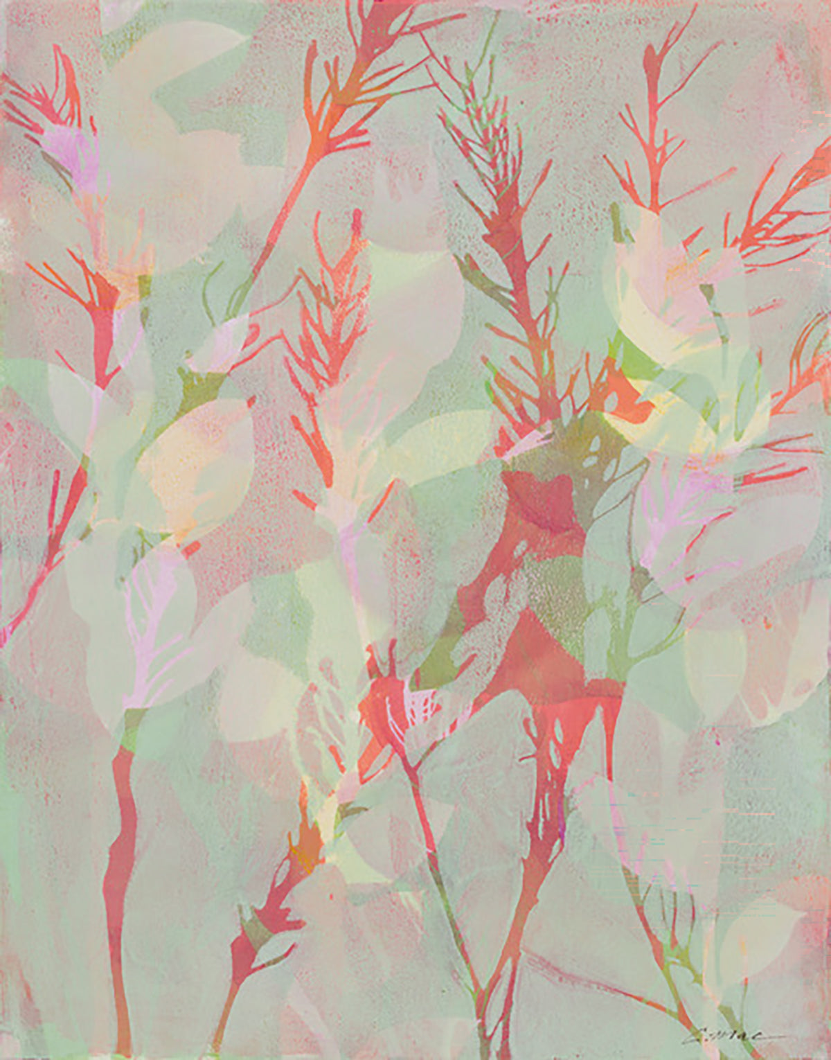 Botanical Monotype MED-M-4