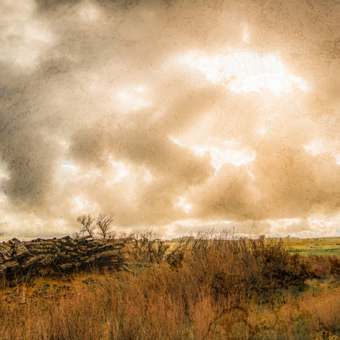 Edge of Spring