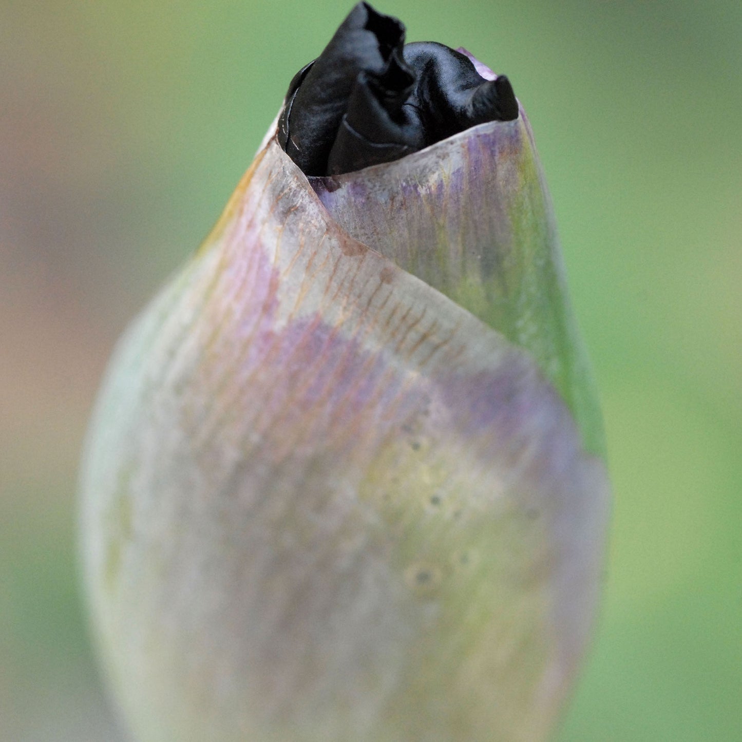 Open Up