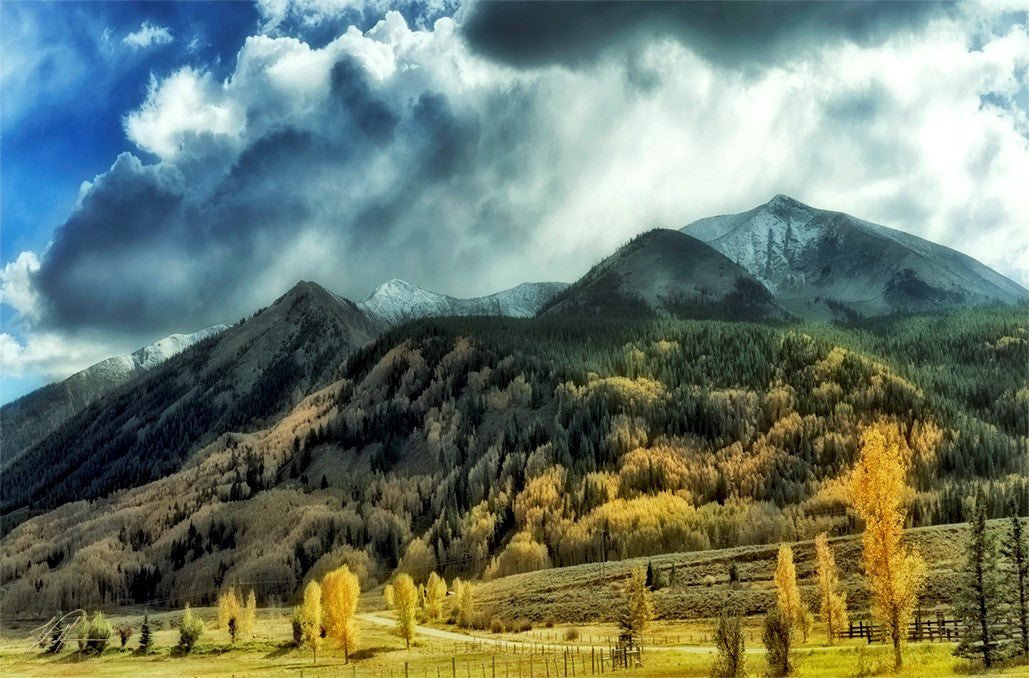 The Softness of Autumn