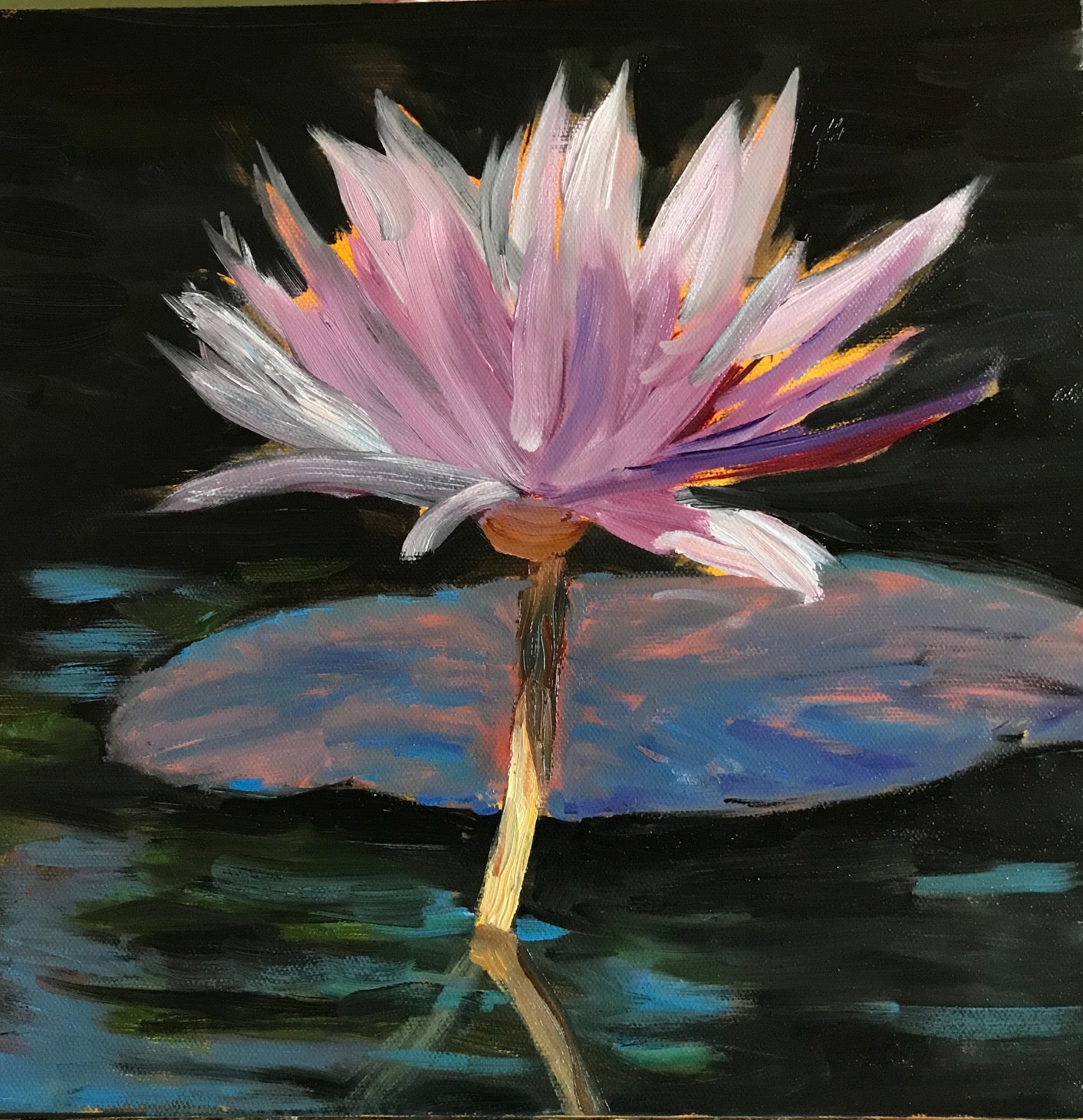 Pink Water Lily