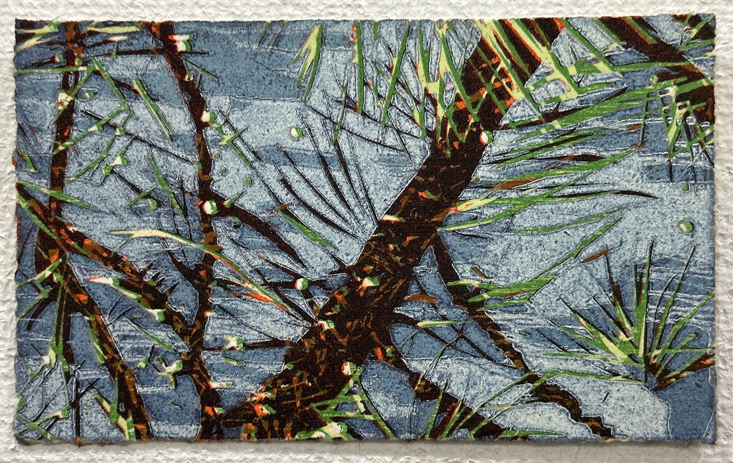 Ponderosa