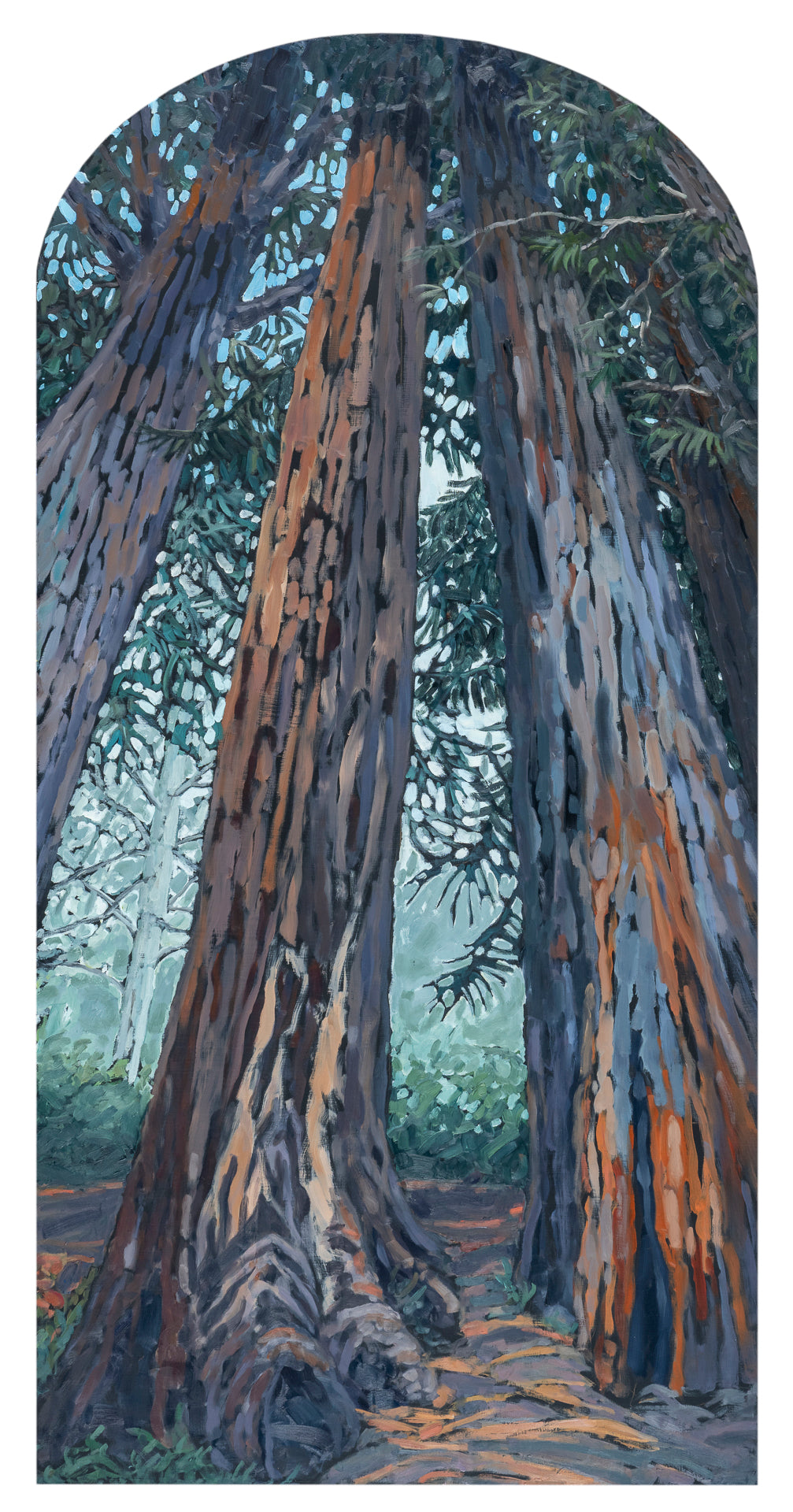 Quiet Morning Mist