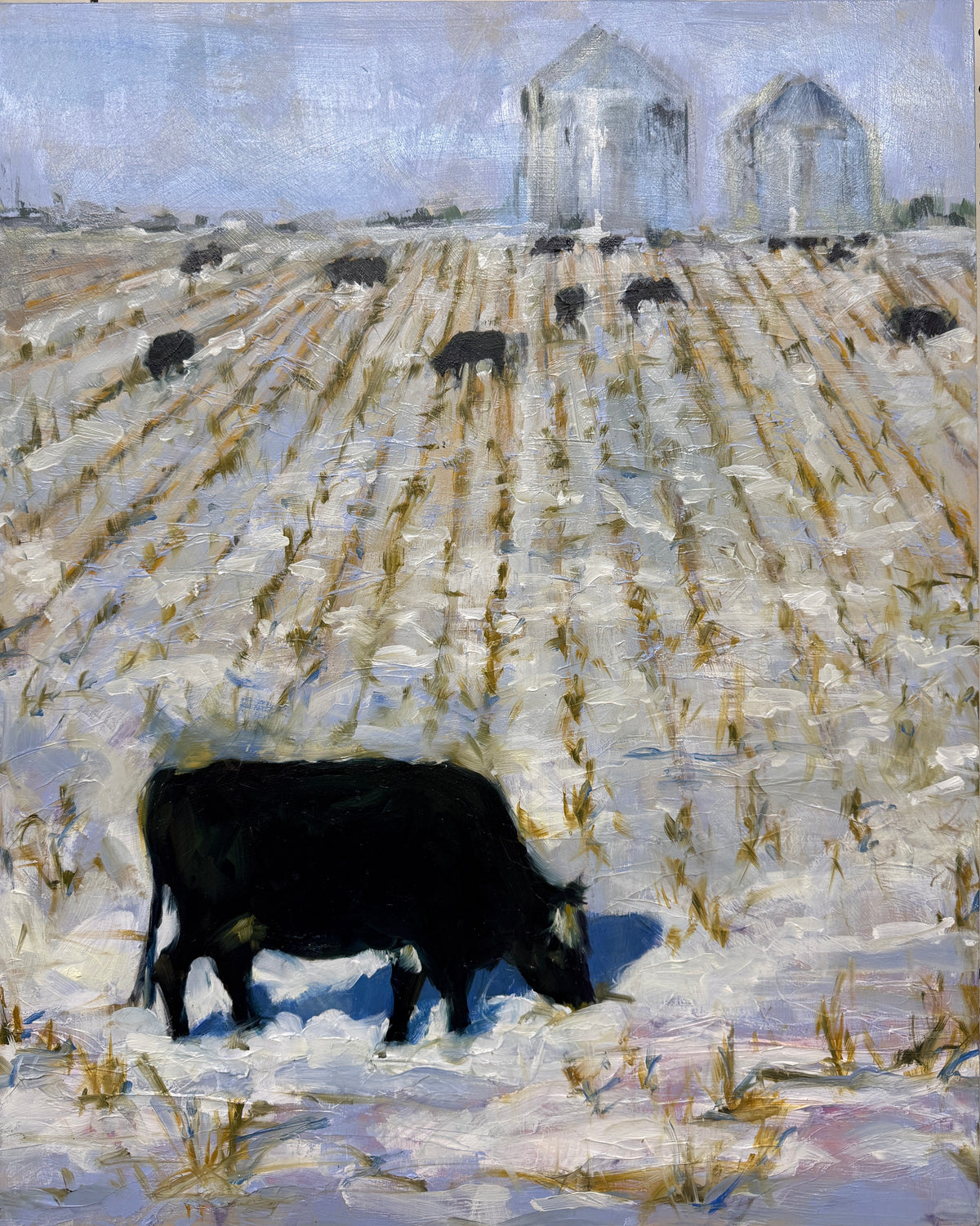 Rows of Winter