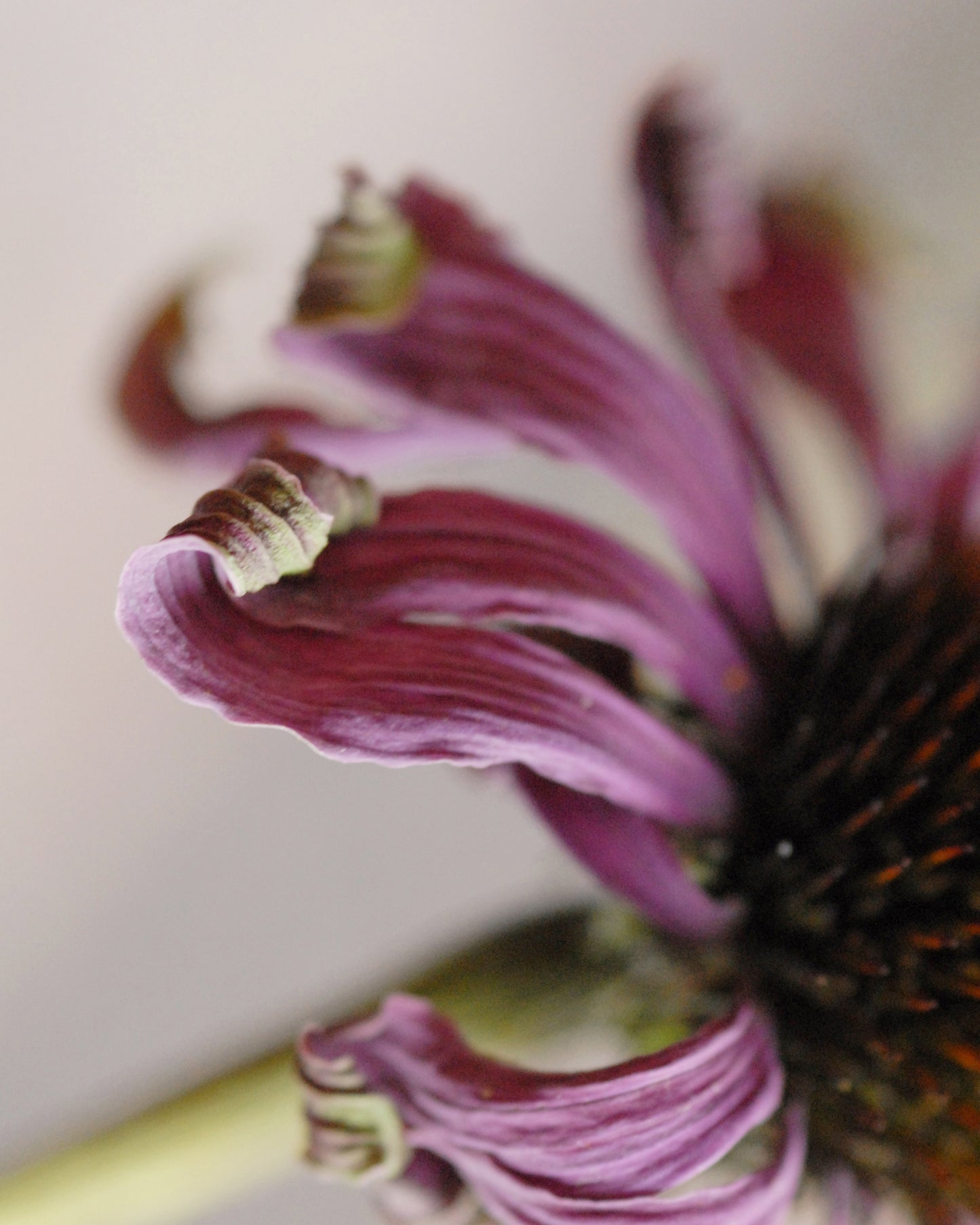 The Less I know the Better