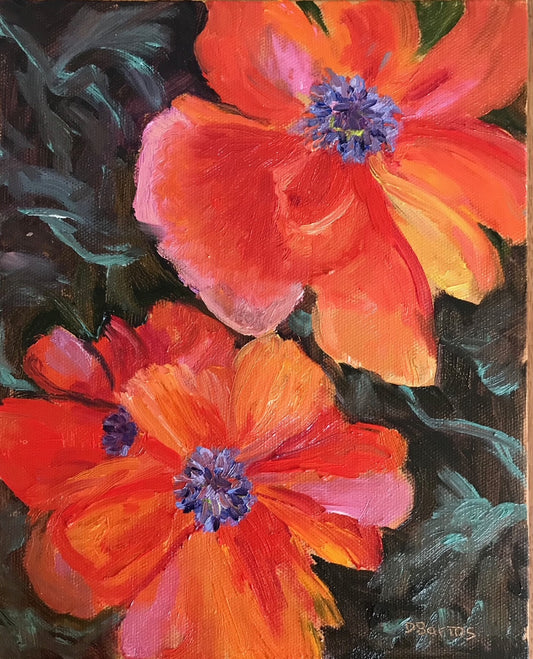 Spring Poppies