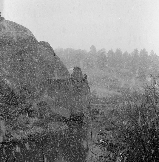 Spring Snow, Near Florissant, CO