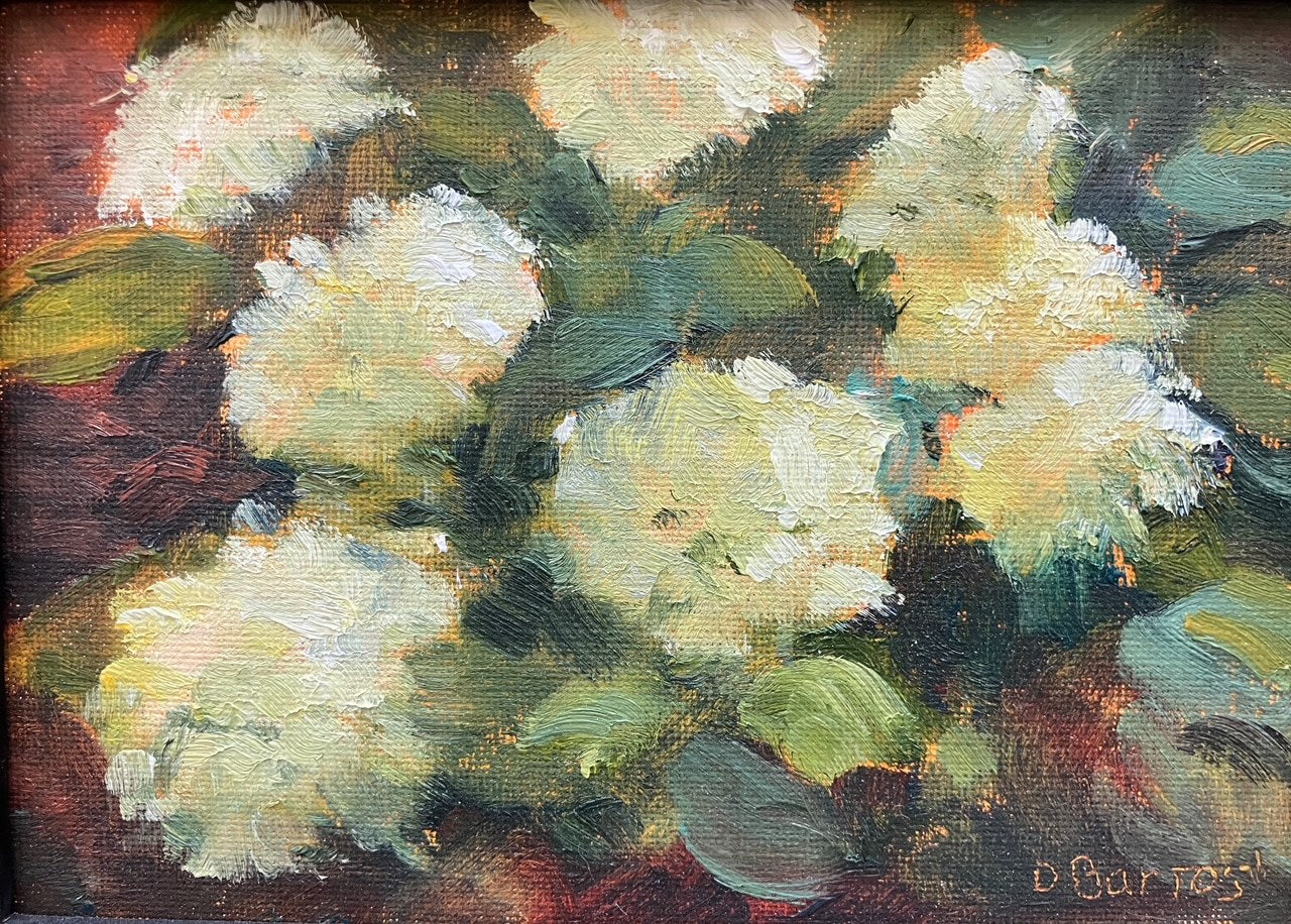 Spring Blossoms
