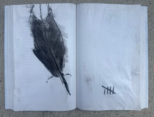 Steady Count of Nothing Important