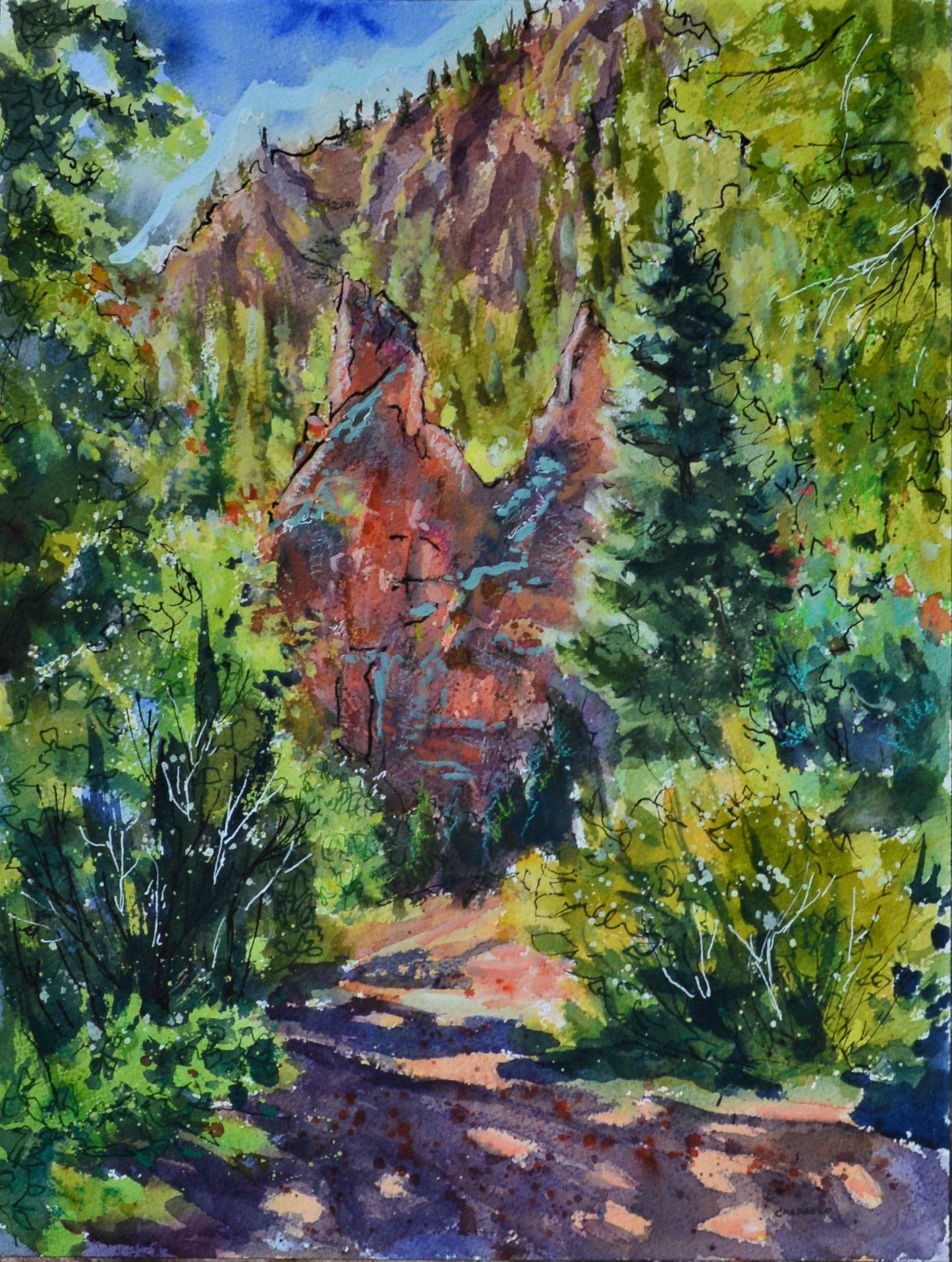 Summer in the Canyon