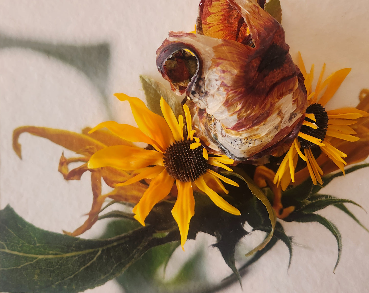 Sunflower Seeds