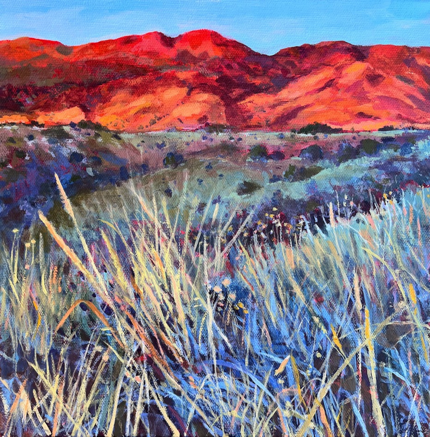 Red Mountain Morning