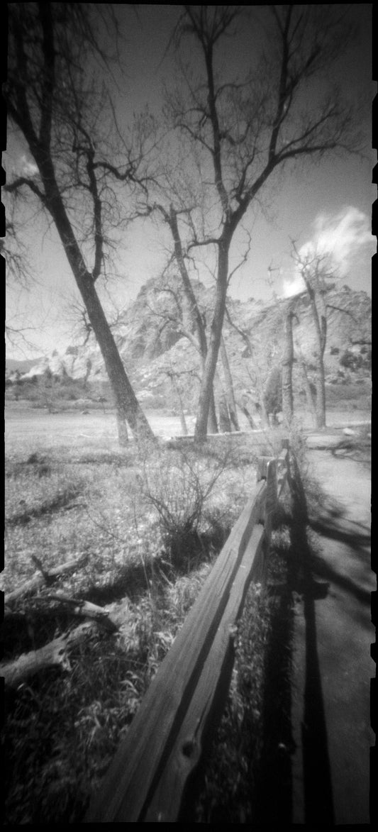 Take Me to the Past... and the Future