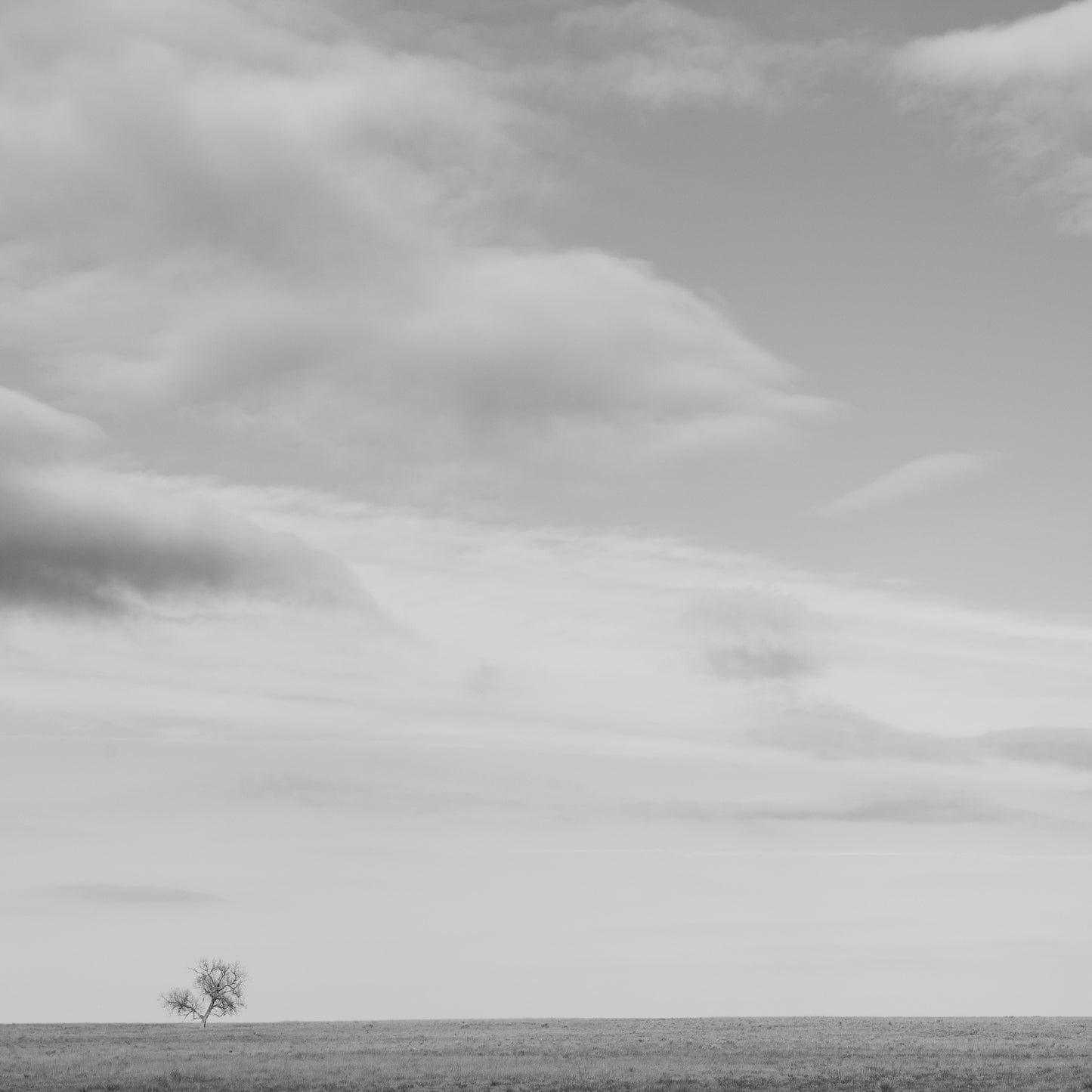 Resilience
