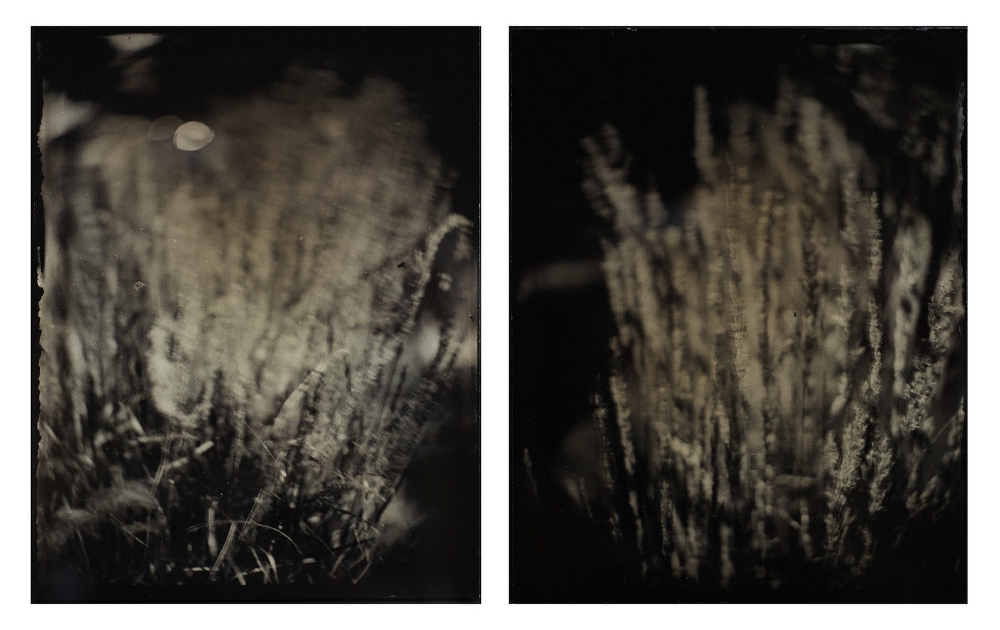Traces of Time