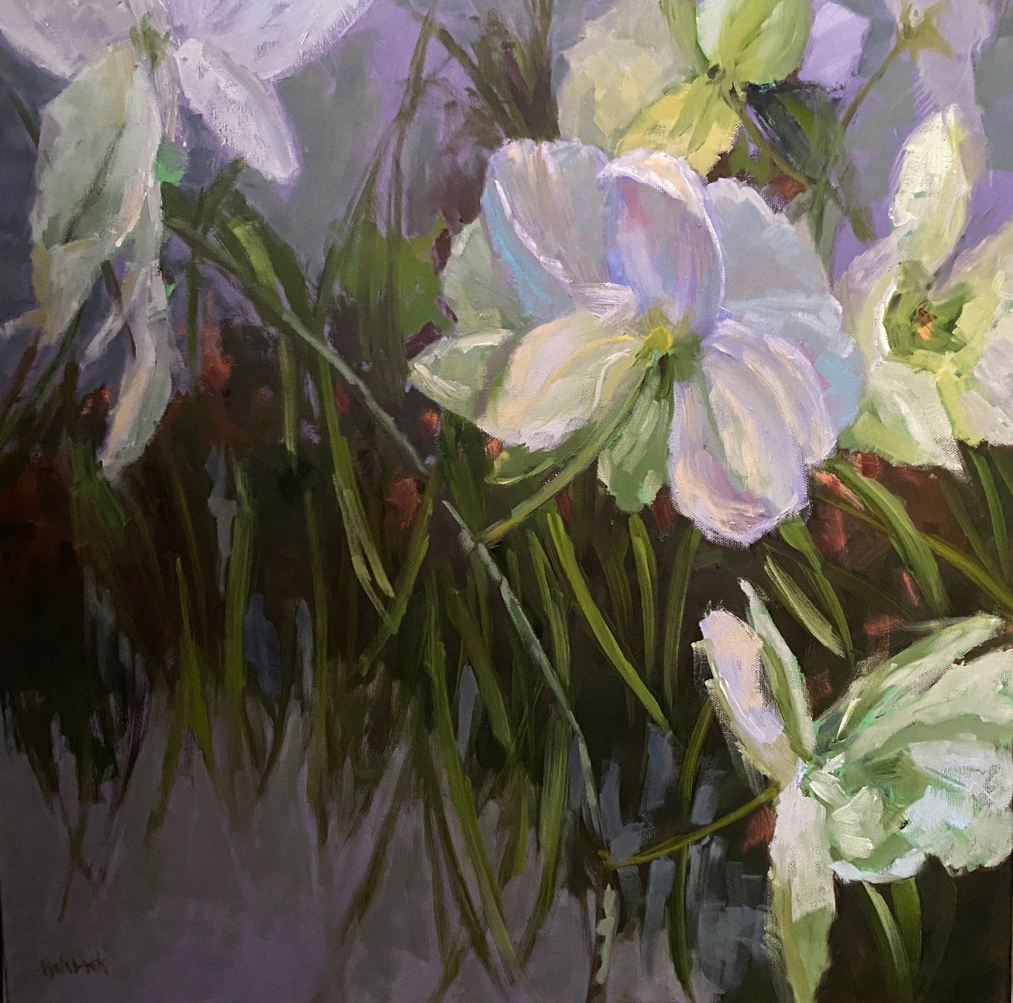 Tropical Orchids