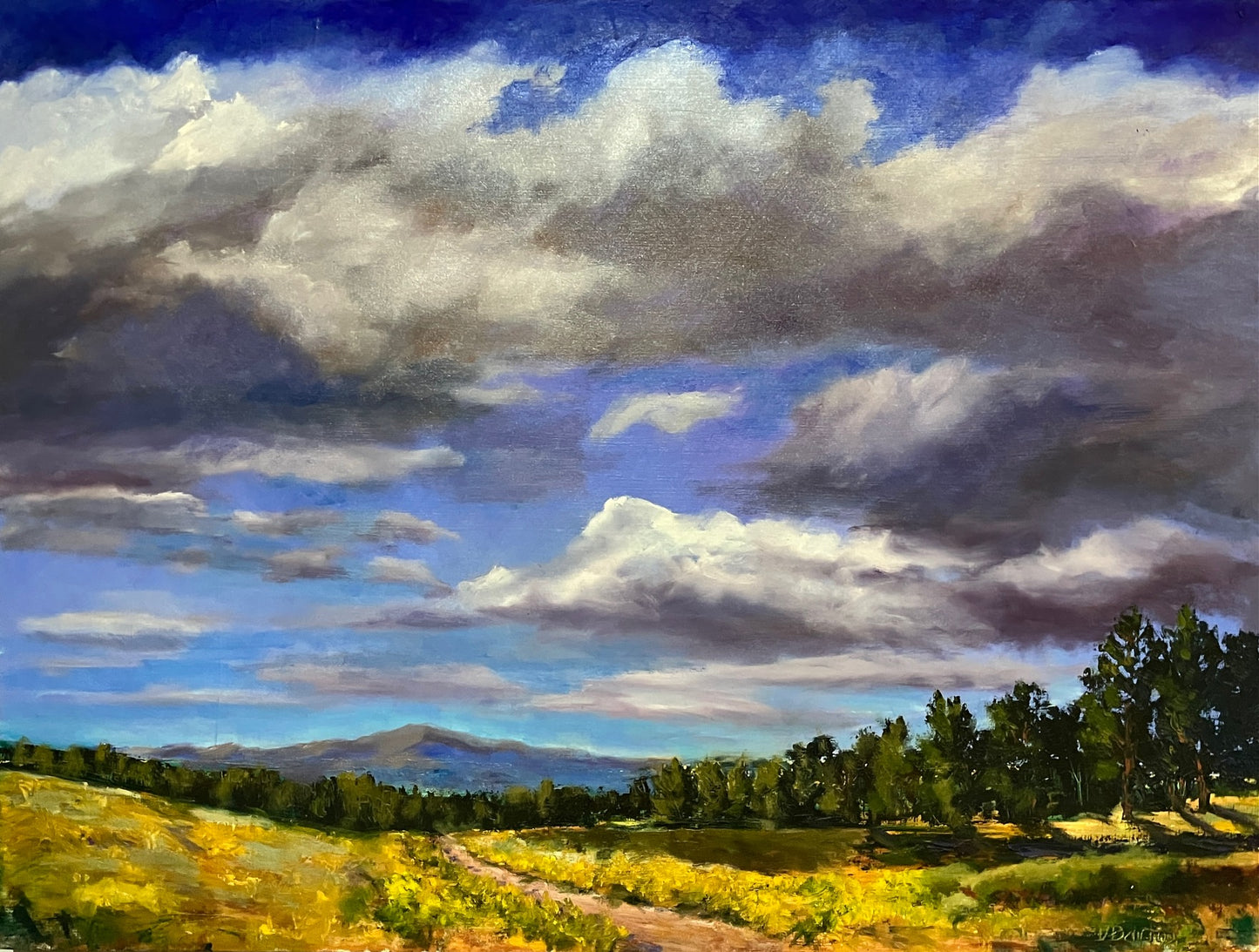 Ute Valley Trail