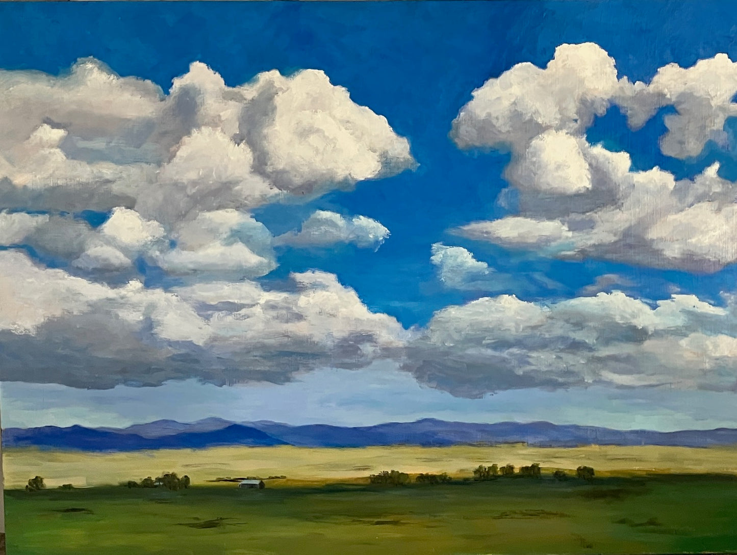 Westcliffe Summer