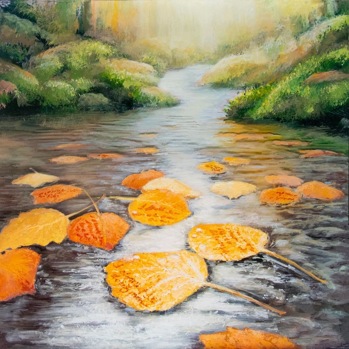 What the Water Carries