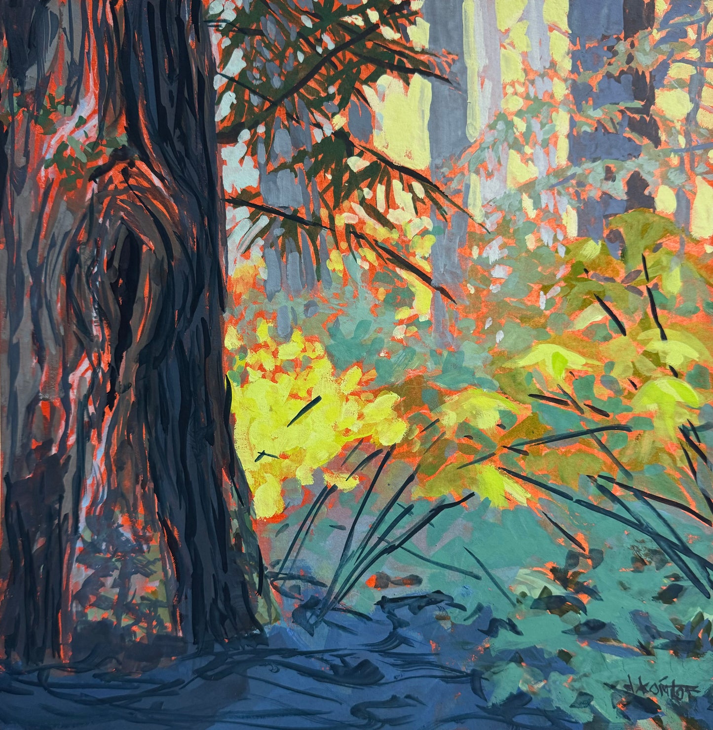 When the Sun Kisses the Forest Floor