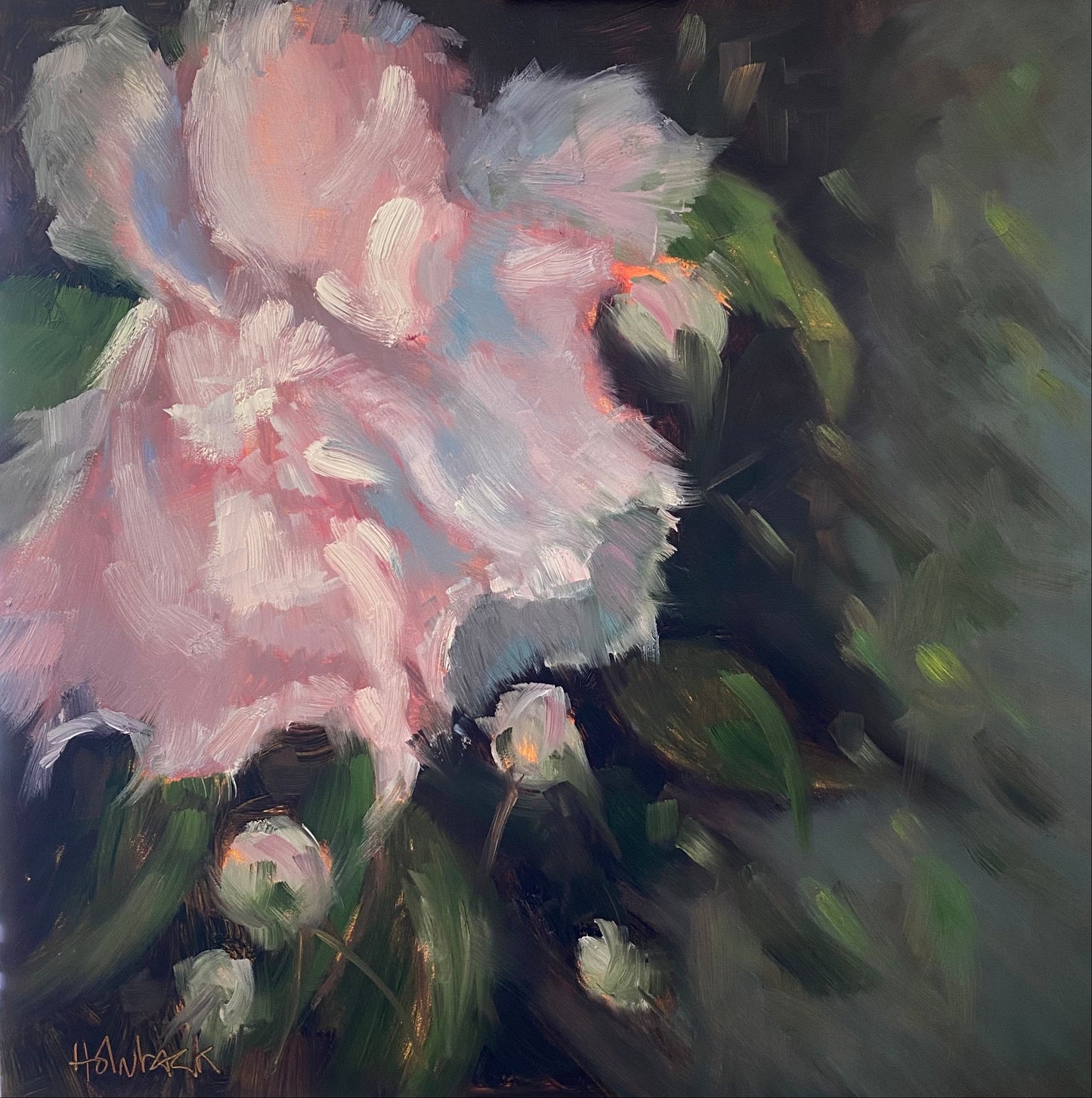 Winter Peony