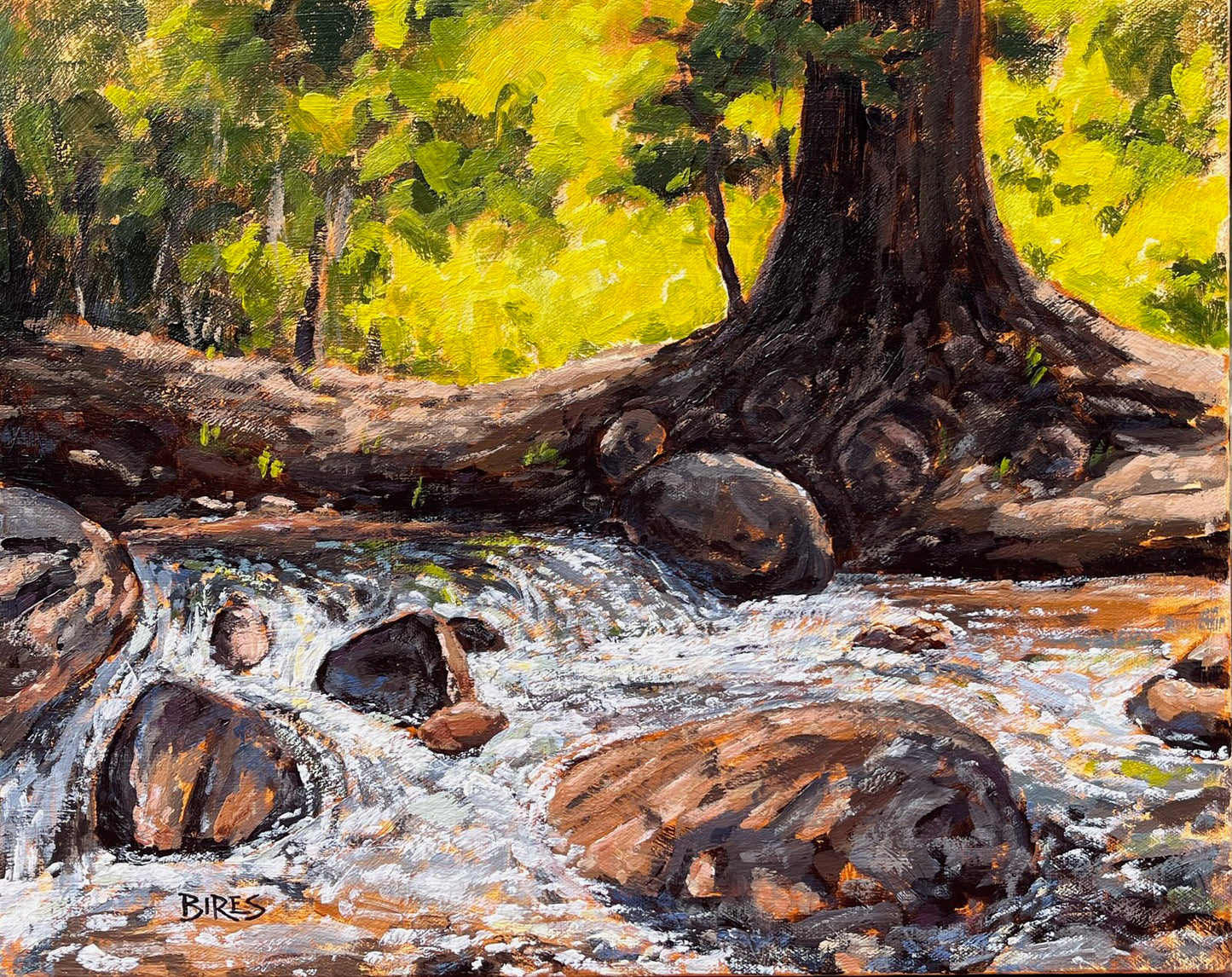 Yes, the River Knows